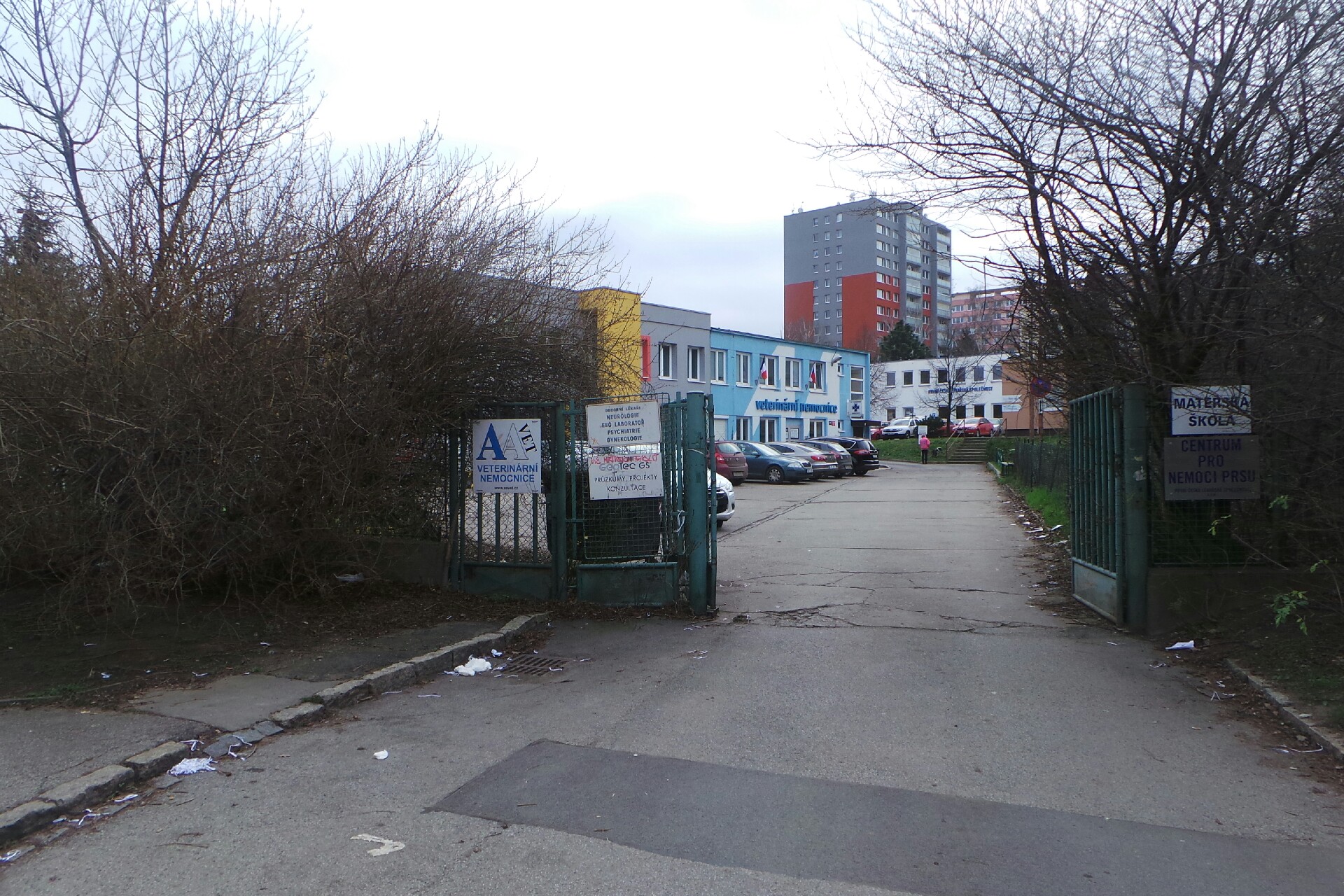 Senologická společnost