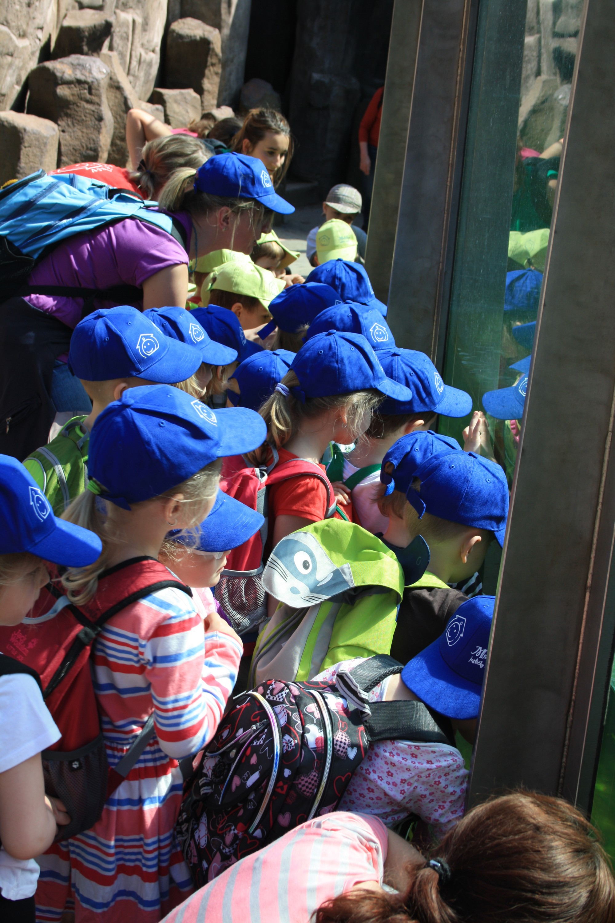 MALÍČKOV s.r.o. - Soukromá anglická školka a jesle foto 3