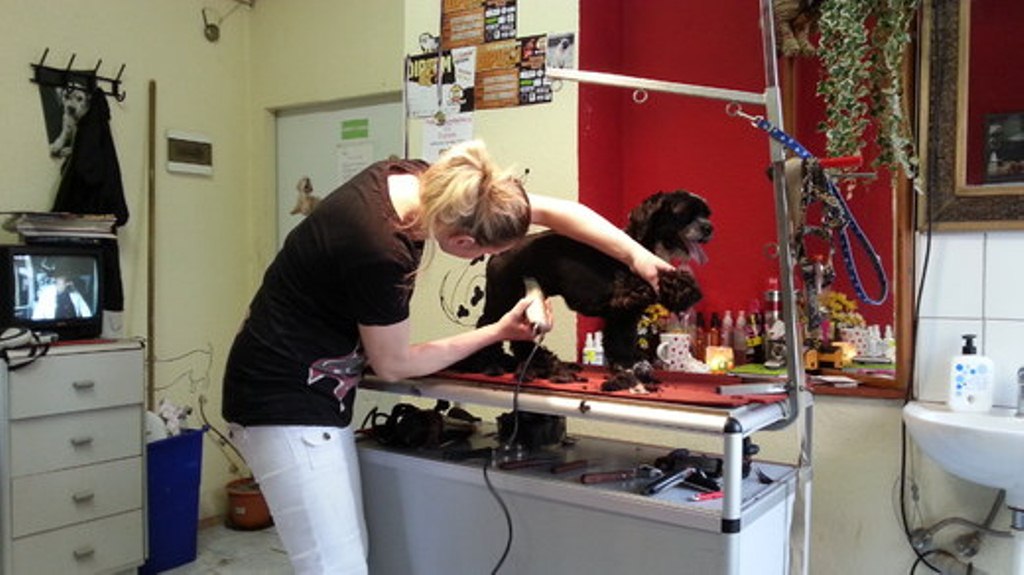 Psí hotel Hostěradice