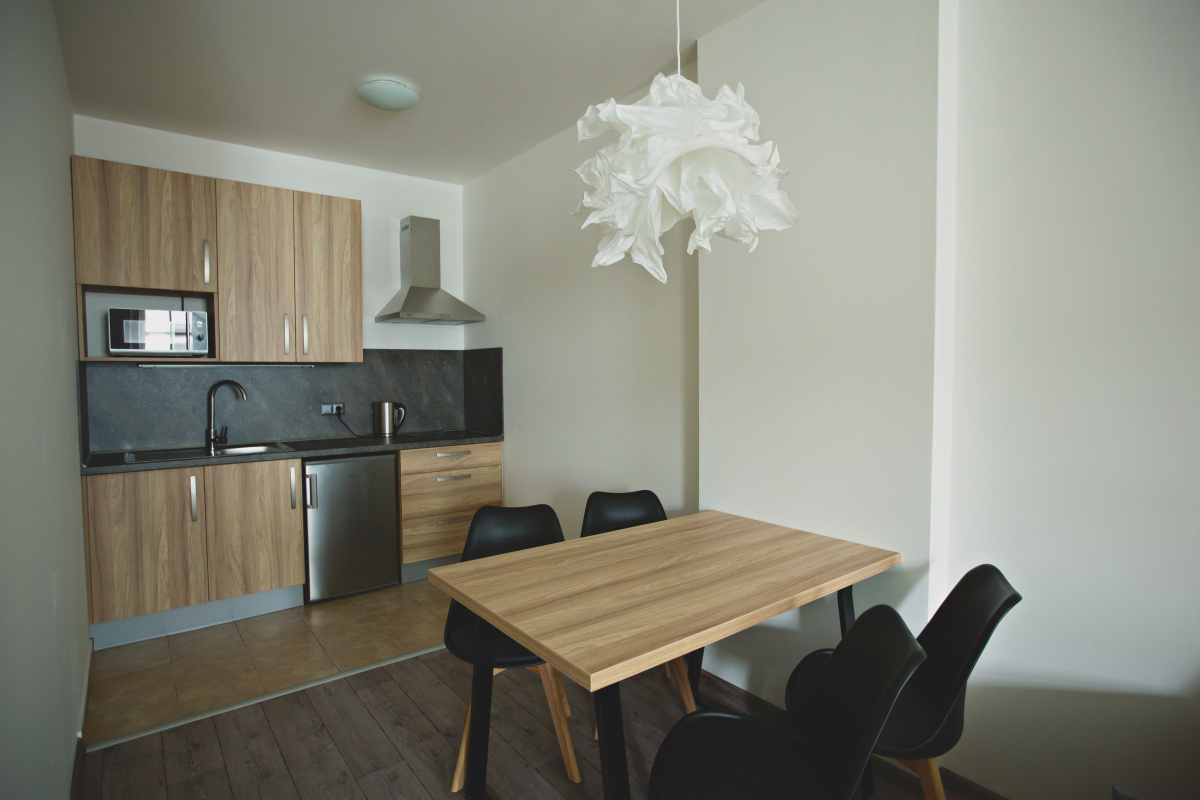 Pilsner Apartments - Miroslav Škoda foto 5