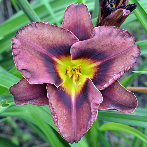 NOVÁ ZAHRADA, s.r.o. foto 4