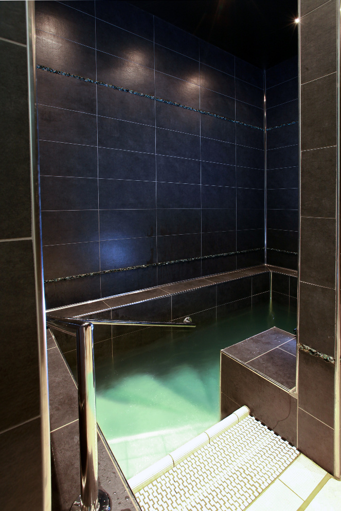 Wellness Hotel Vinice Hnanice foto 6