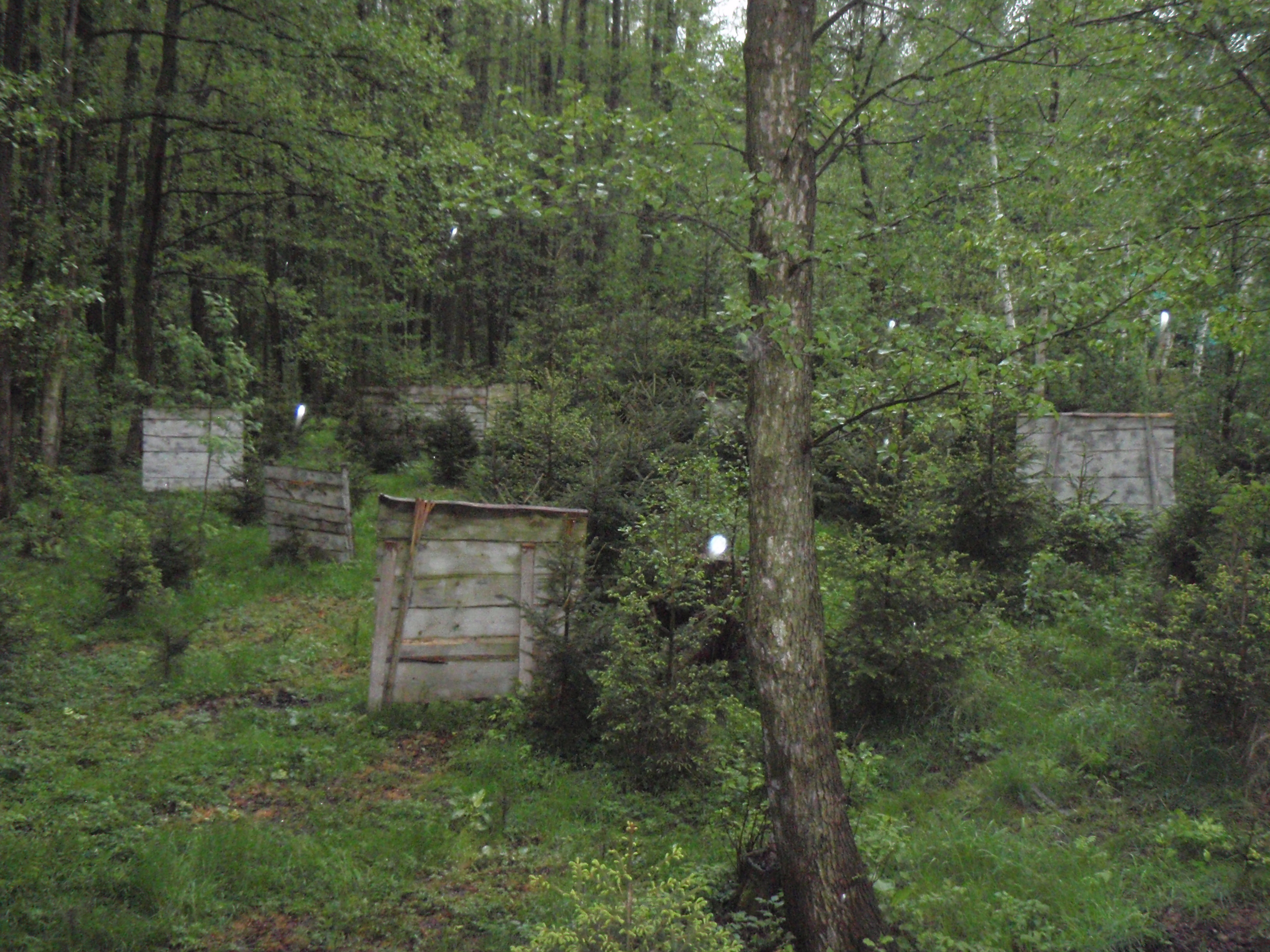 Paintball Bystřice foto 4