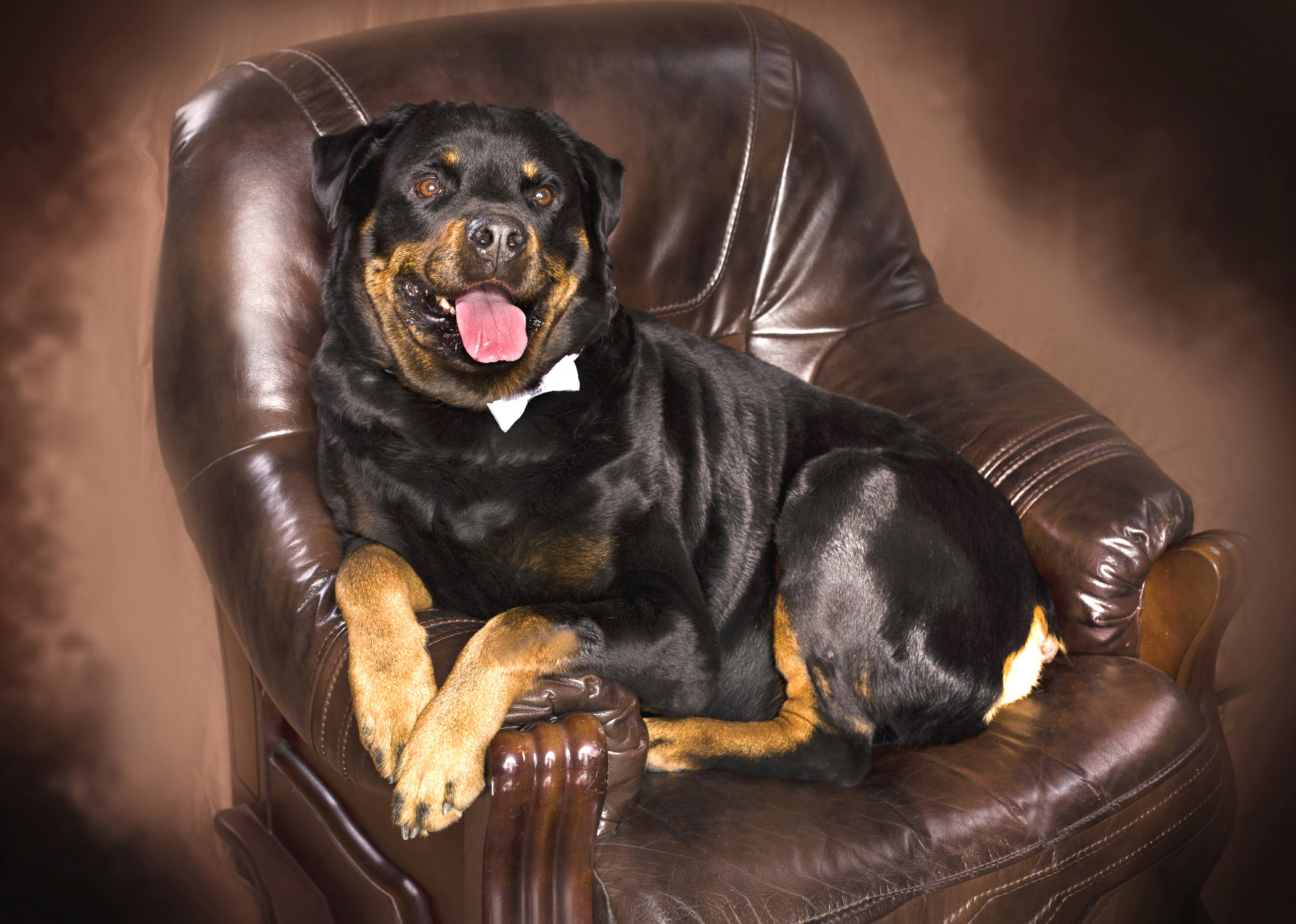 Fotoateliér věčné momenty foto 4