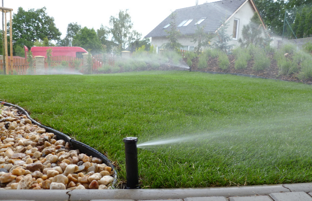 Petr Sedláček - Zahrada plná života foto 3