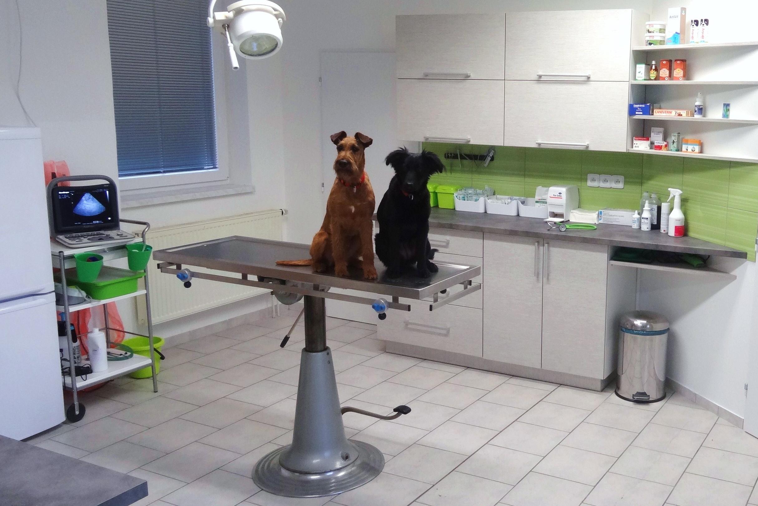 Veterinární ordinace Cáderovi foto 1