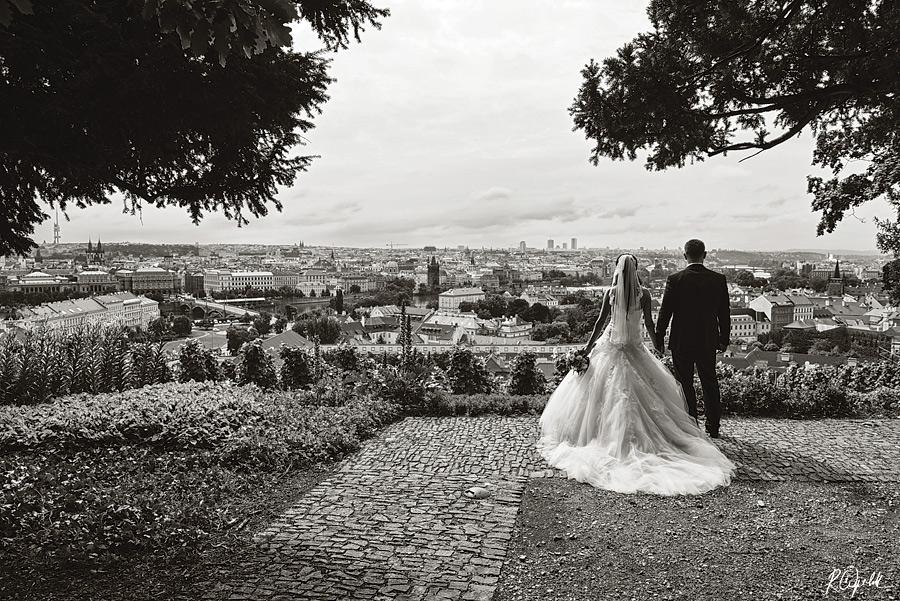Ing. Radek Čepelák foto 3
