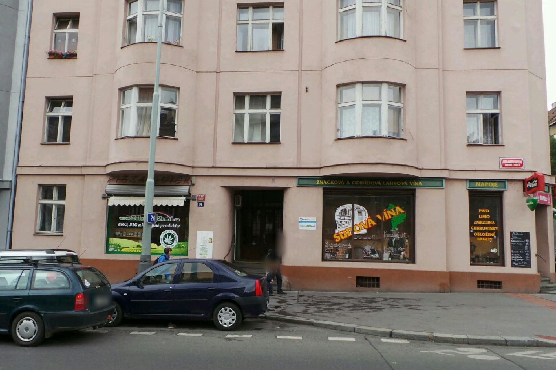 Design Green Cat foto 2