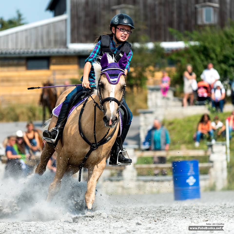 Hotel Farma Vysoká foto 2