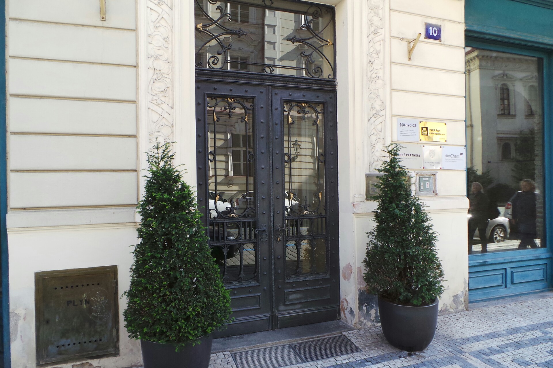 Suzanne Wolfe Martin, advokát