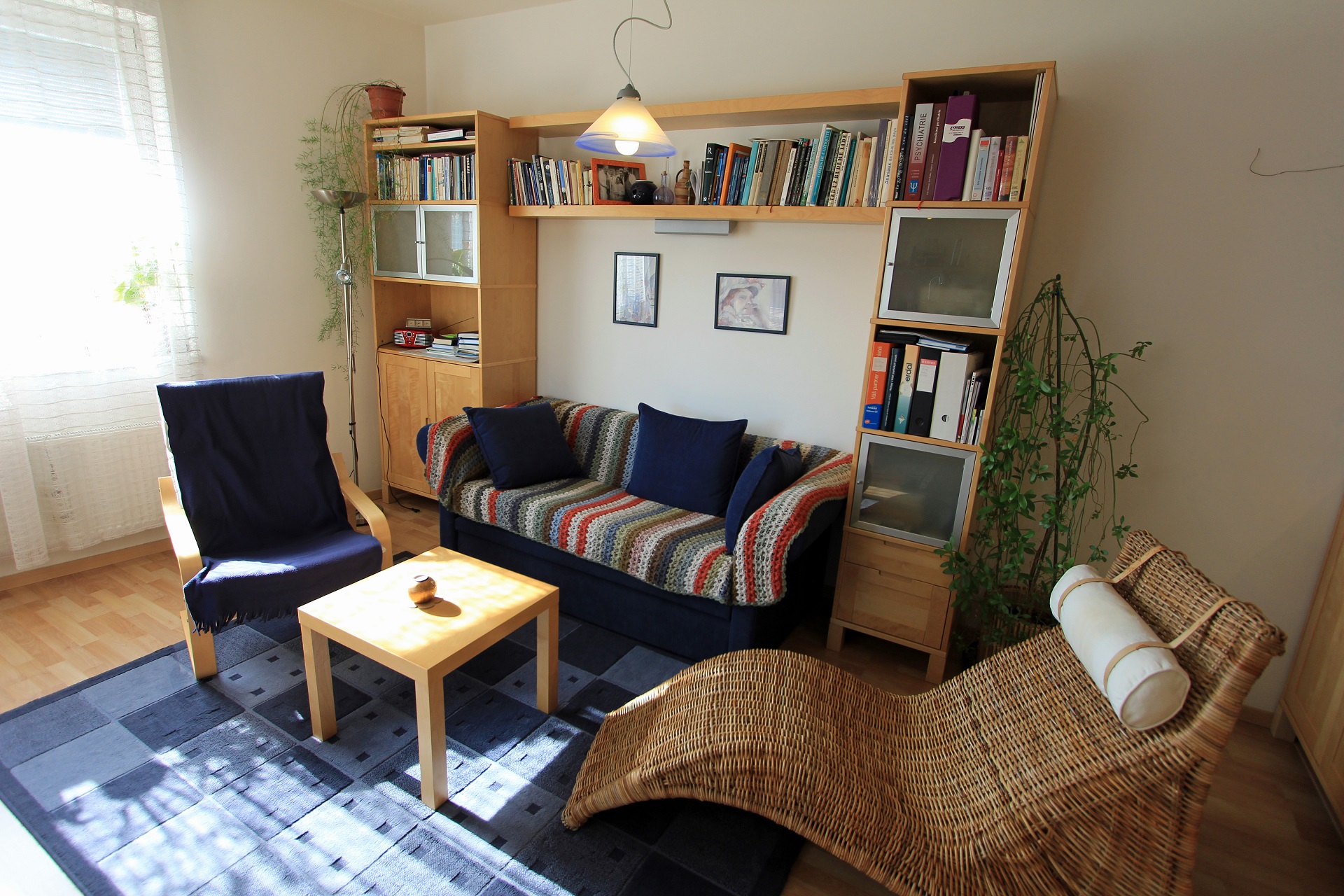 Psychiatrická ambulance, Bufková, Pluháčková s.r.o.