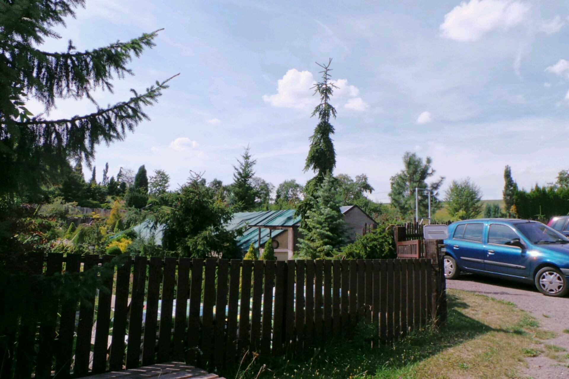 Jitka Doležalová foto 2