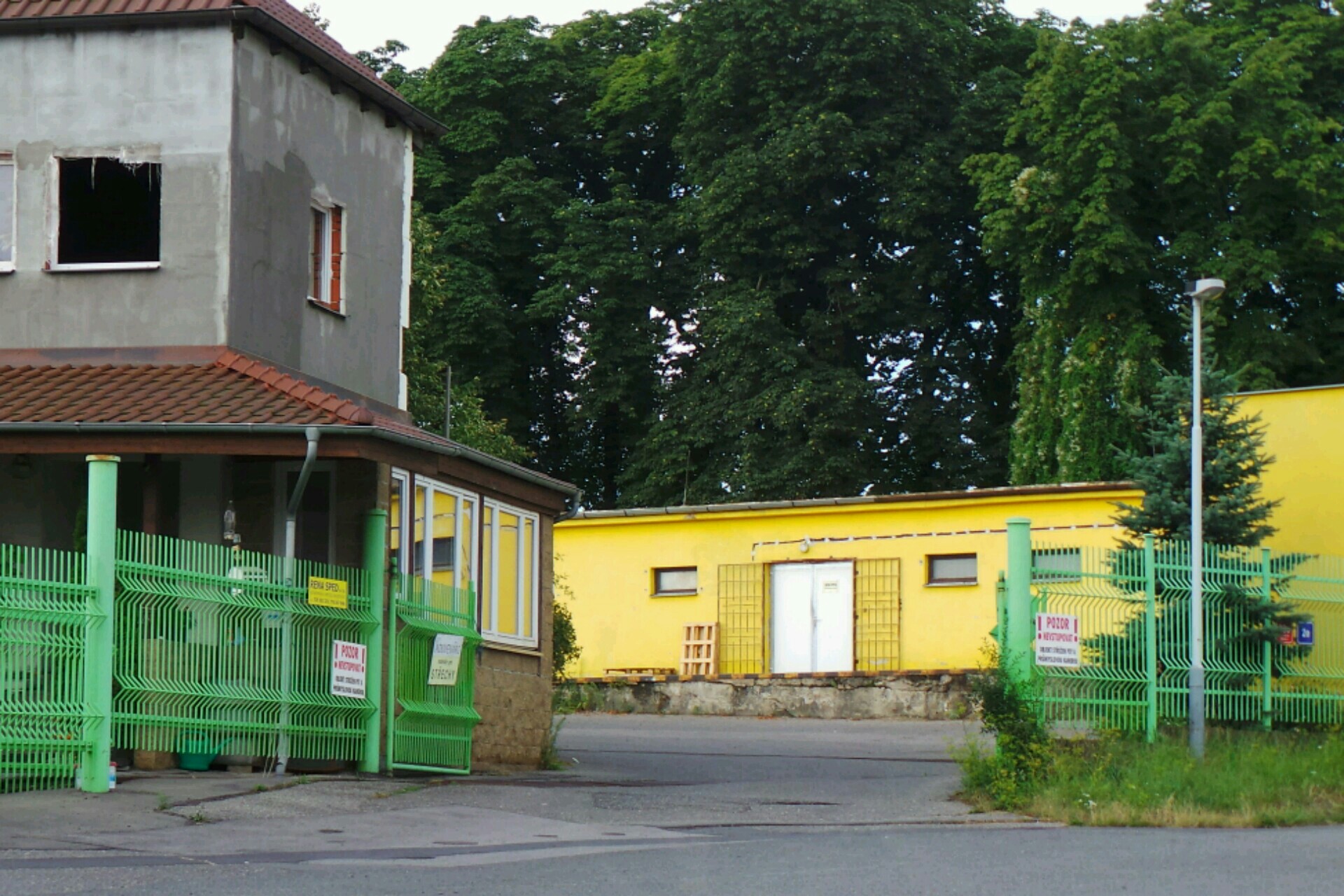 Daňový poradce ev. č. 1989 Dagmar Levá