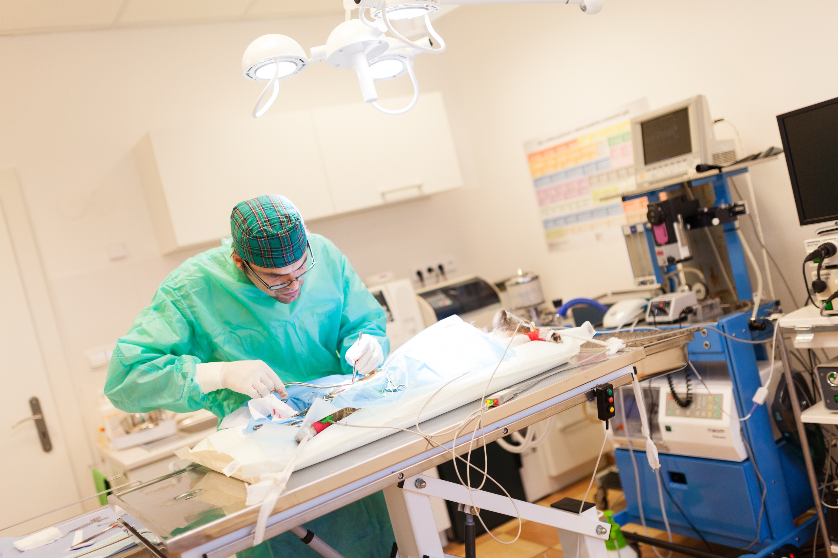 Veterinární klinika VetVill foto 3