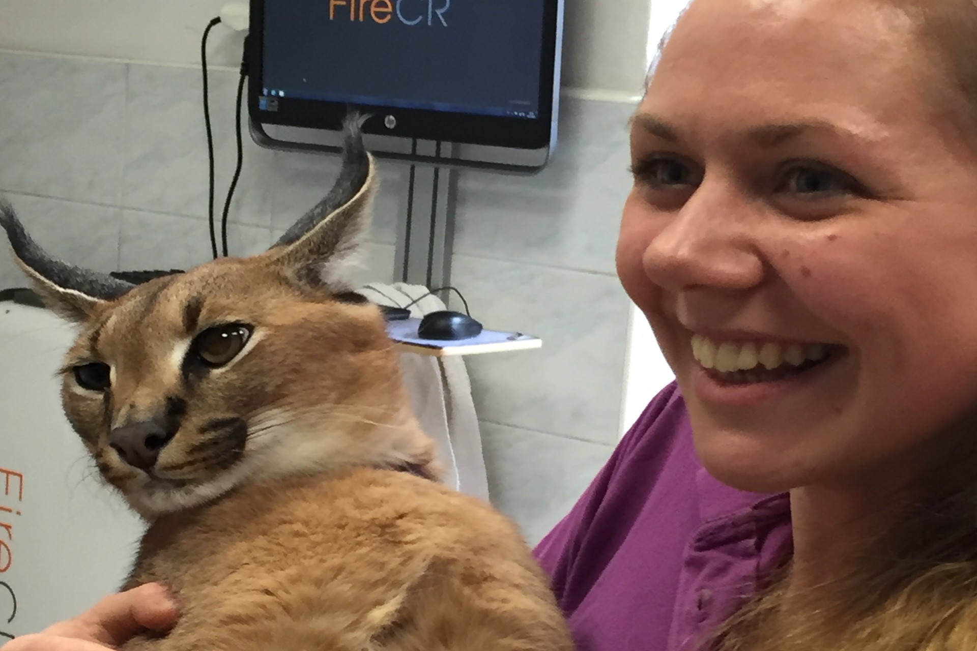 VETPOINT - veterinární klinika foto 1