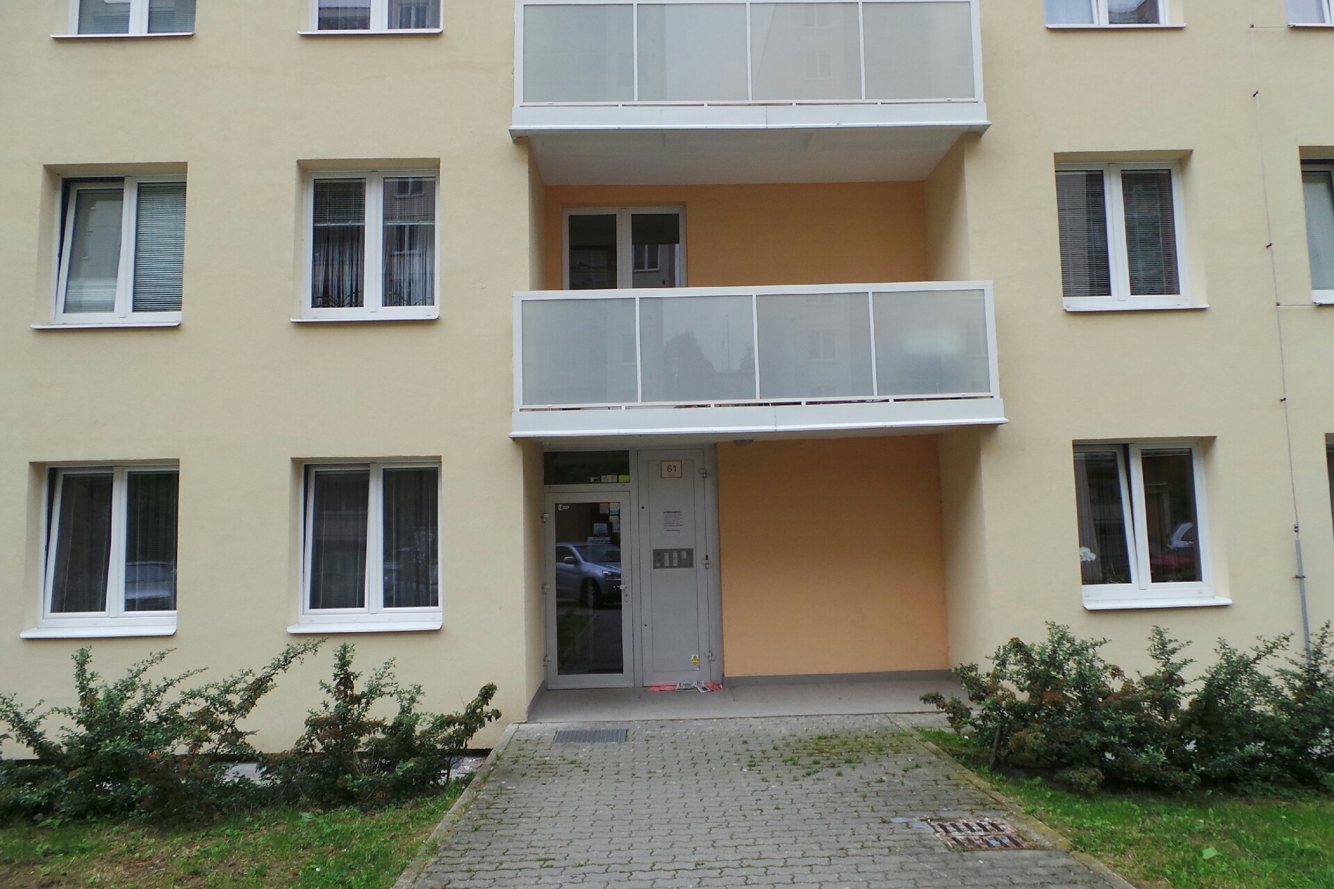 Alexandra Swiecicki, Ph.D.