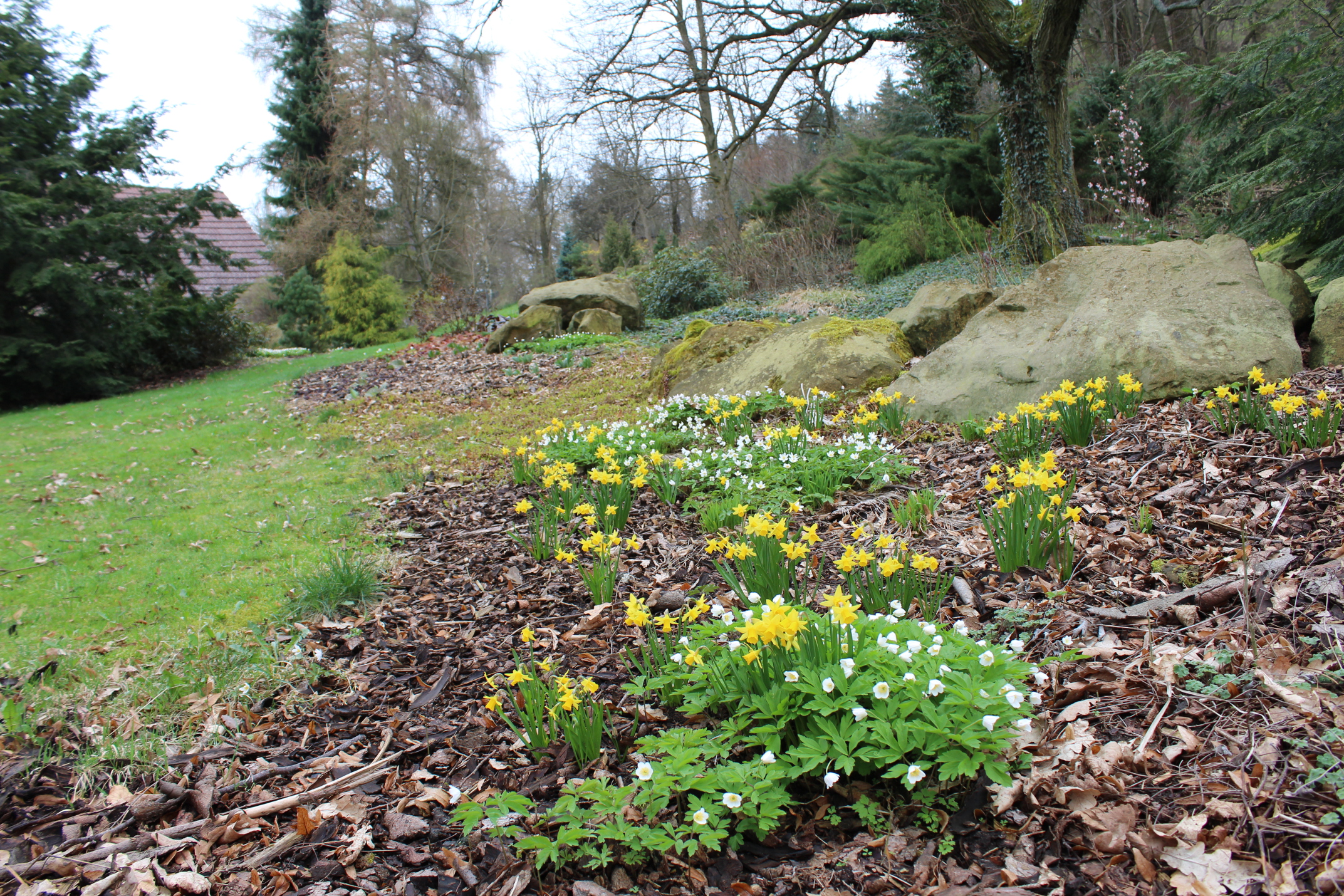 Zahrada Malochýn - Pavlína Junová foto 2