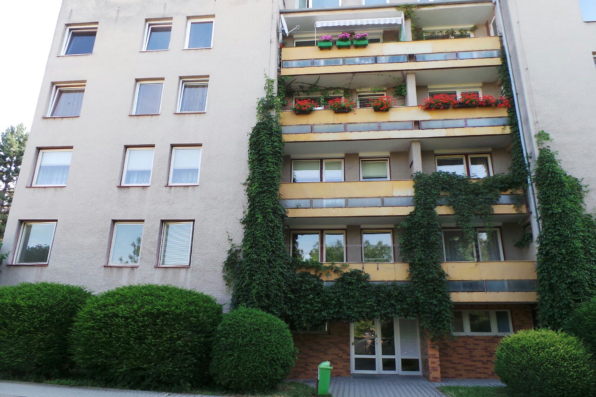 Stavební práce Novotný