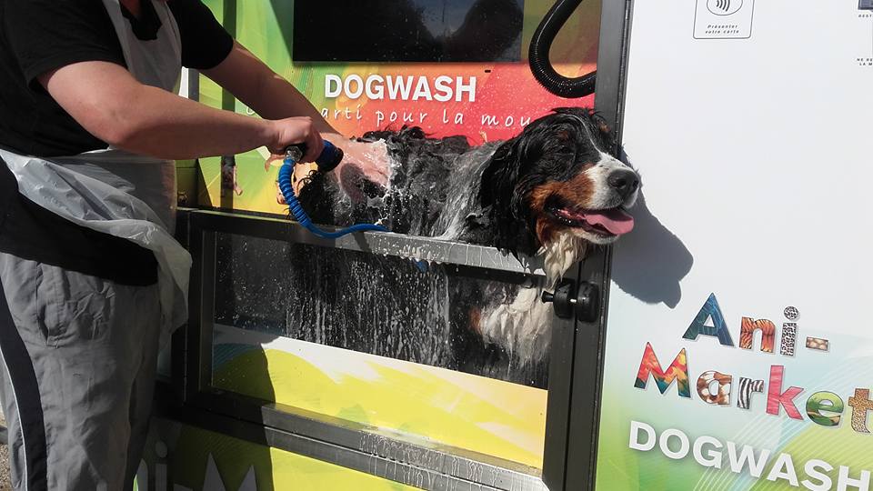 Dog Wash s.r.o. foto 1