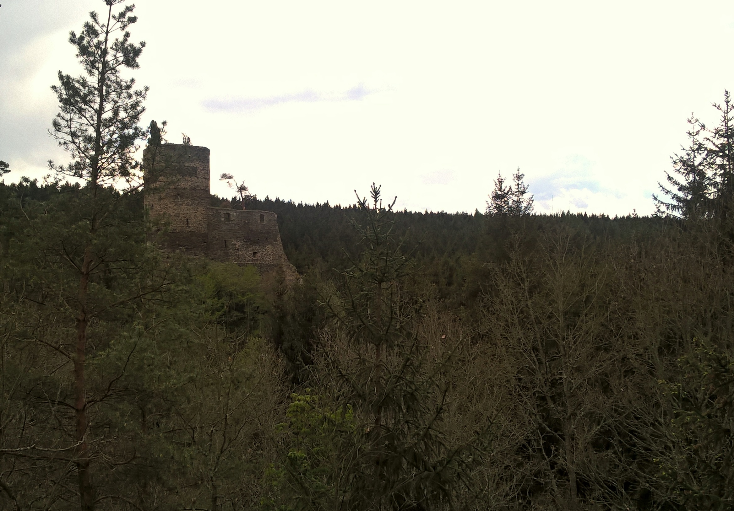 Zřícenina hradu Gutštejn foto 4