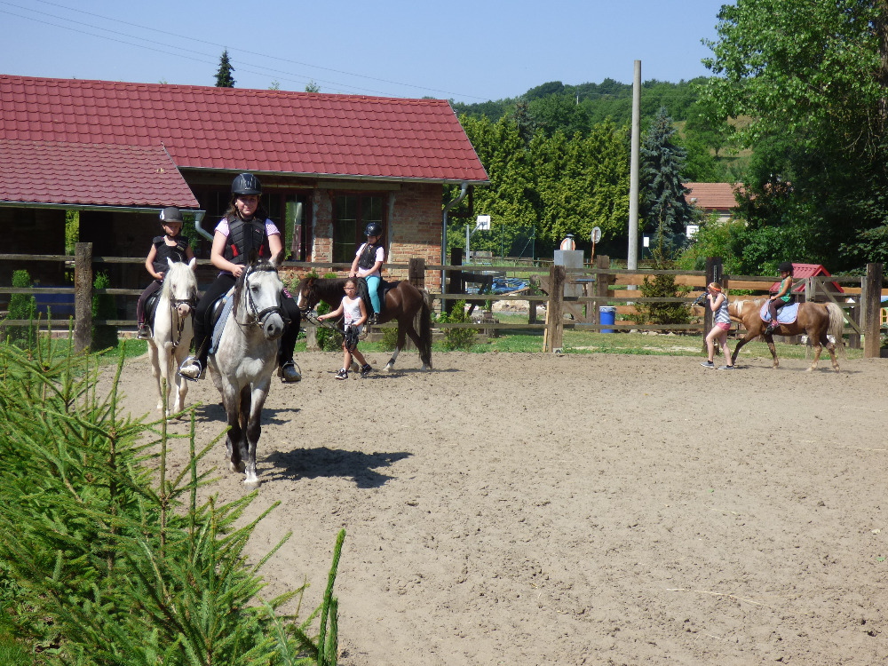 Jezdecká stáj Al-Kham-Sa Zlámanka