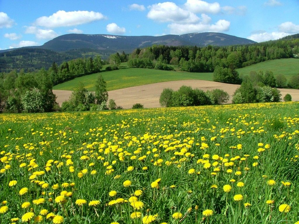 Chaloupka Rudná foto 3