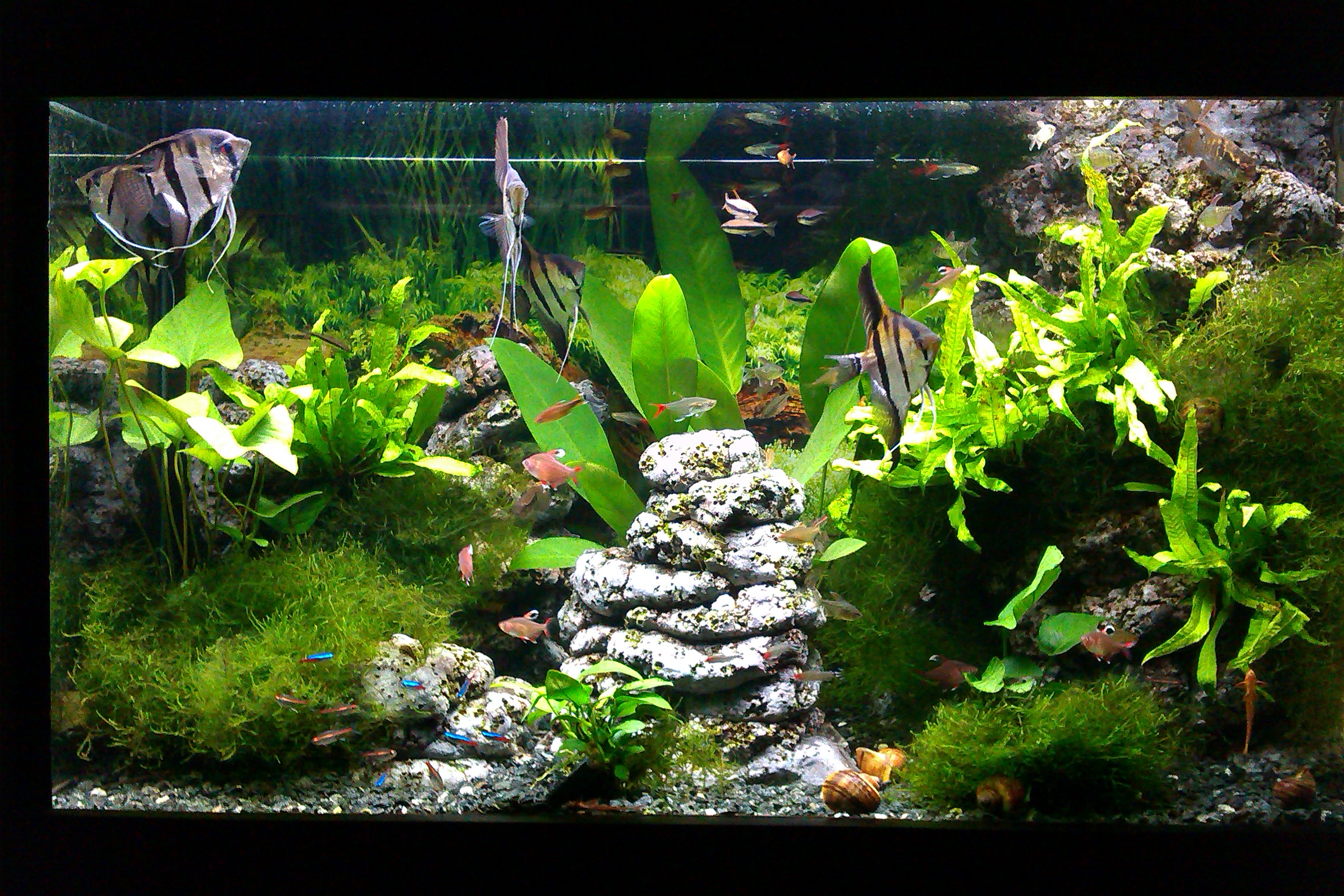 Jaroslav Svoboda - RYBIČKY & ZVÍŘÁTKA, VČELAŘSKÉ POTŘEBY foto 5