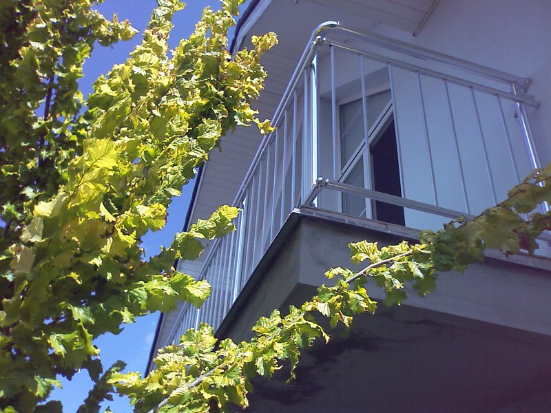 Alzabradli.cz foto 2