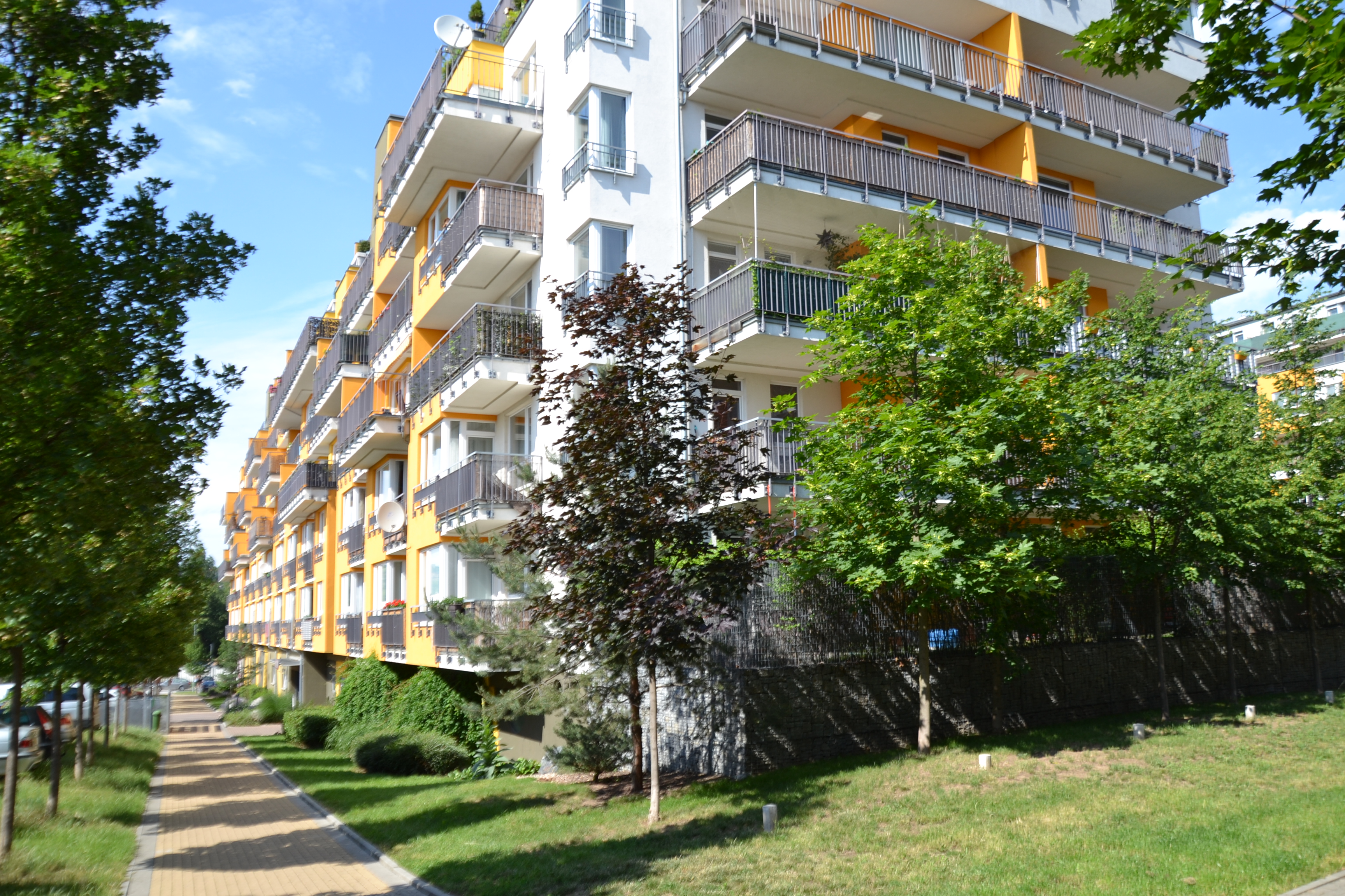 Správa nemovitostí 24, s.r.o. foto 2