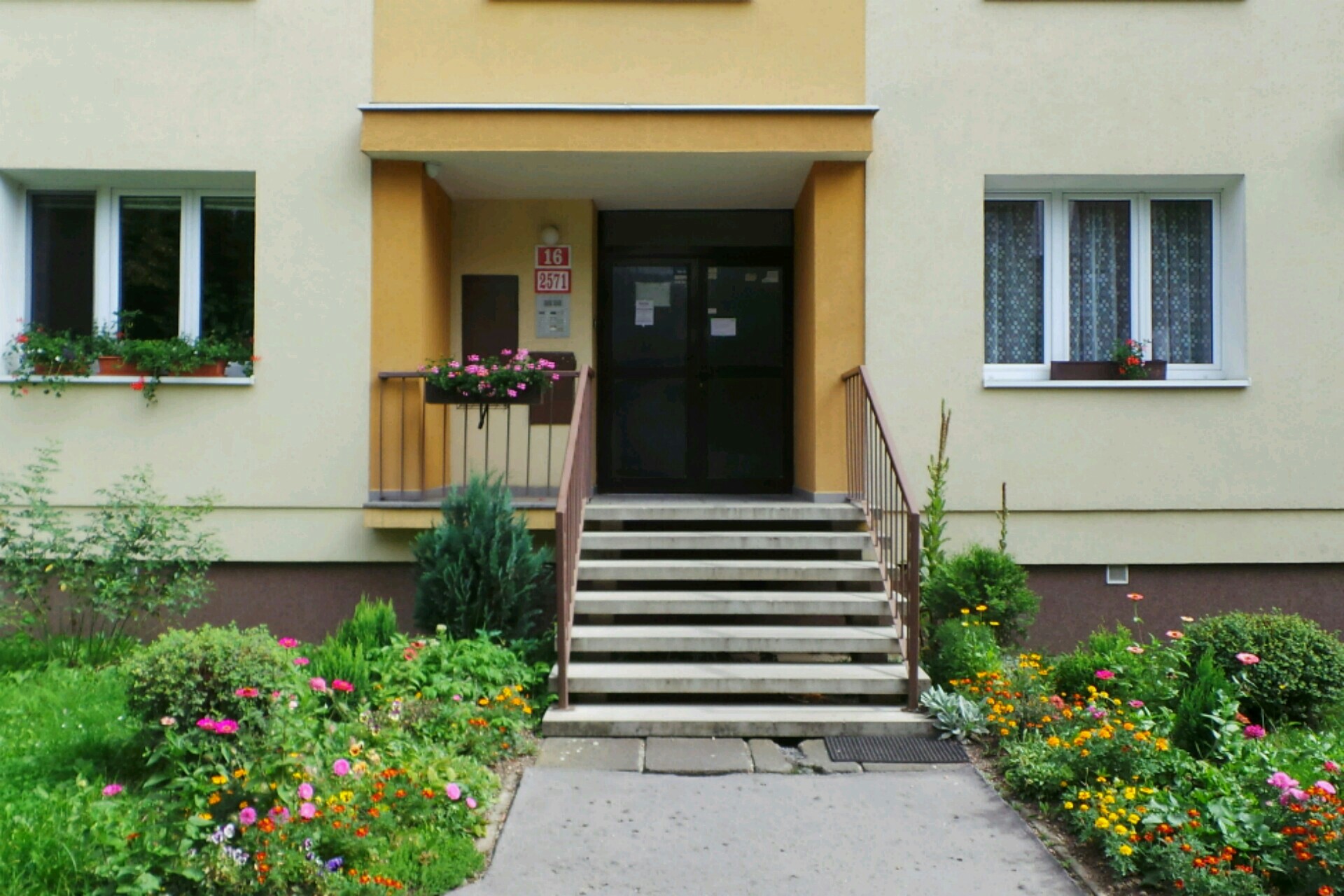 Malíř - natěrač Petr Köhler