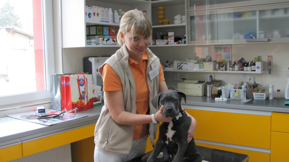 Veterinární klinika Dr. Snášila foto 2