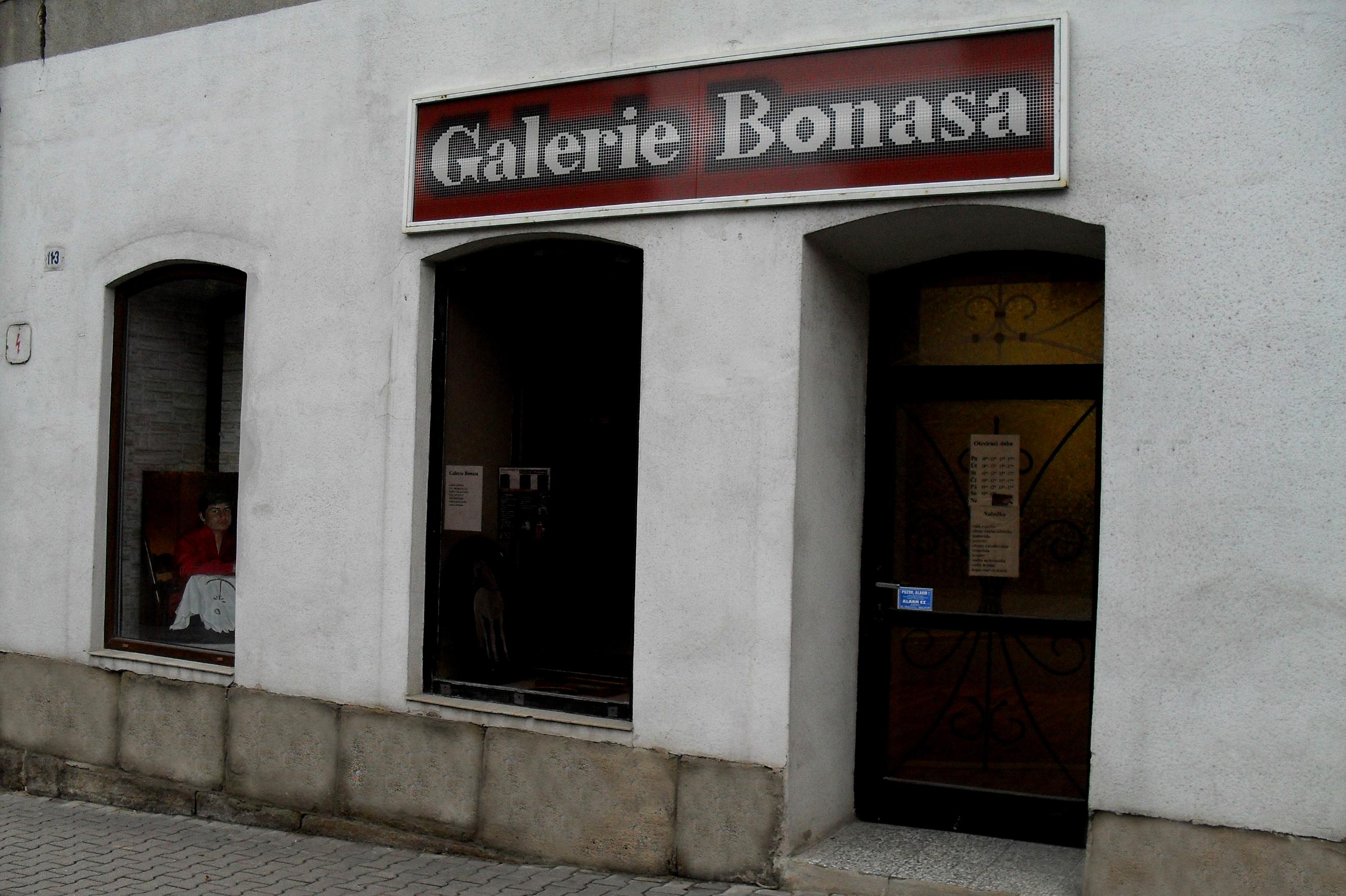 Galerie Bonasa