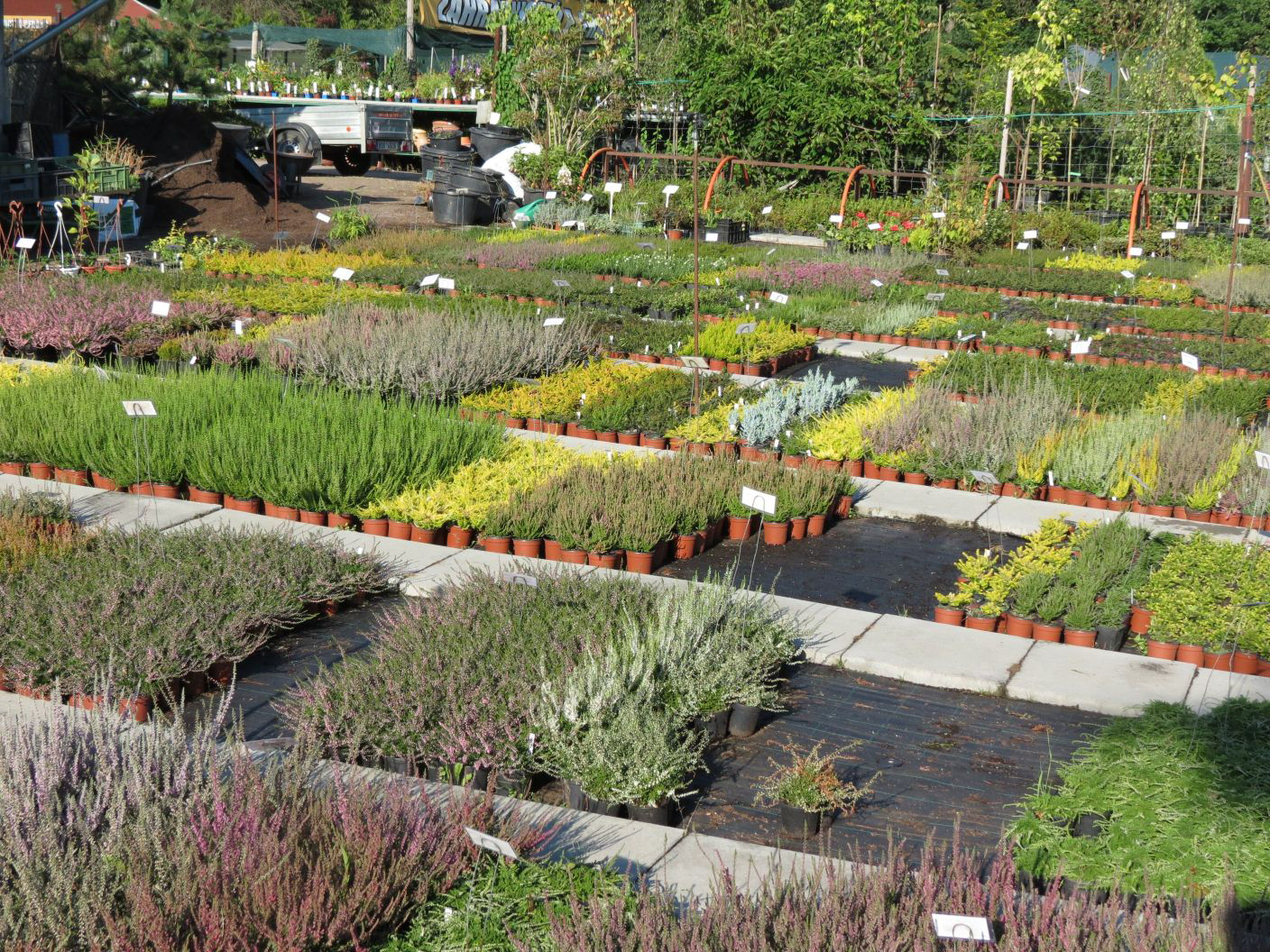 Zahradnictví Franc foto 4