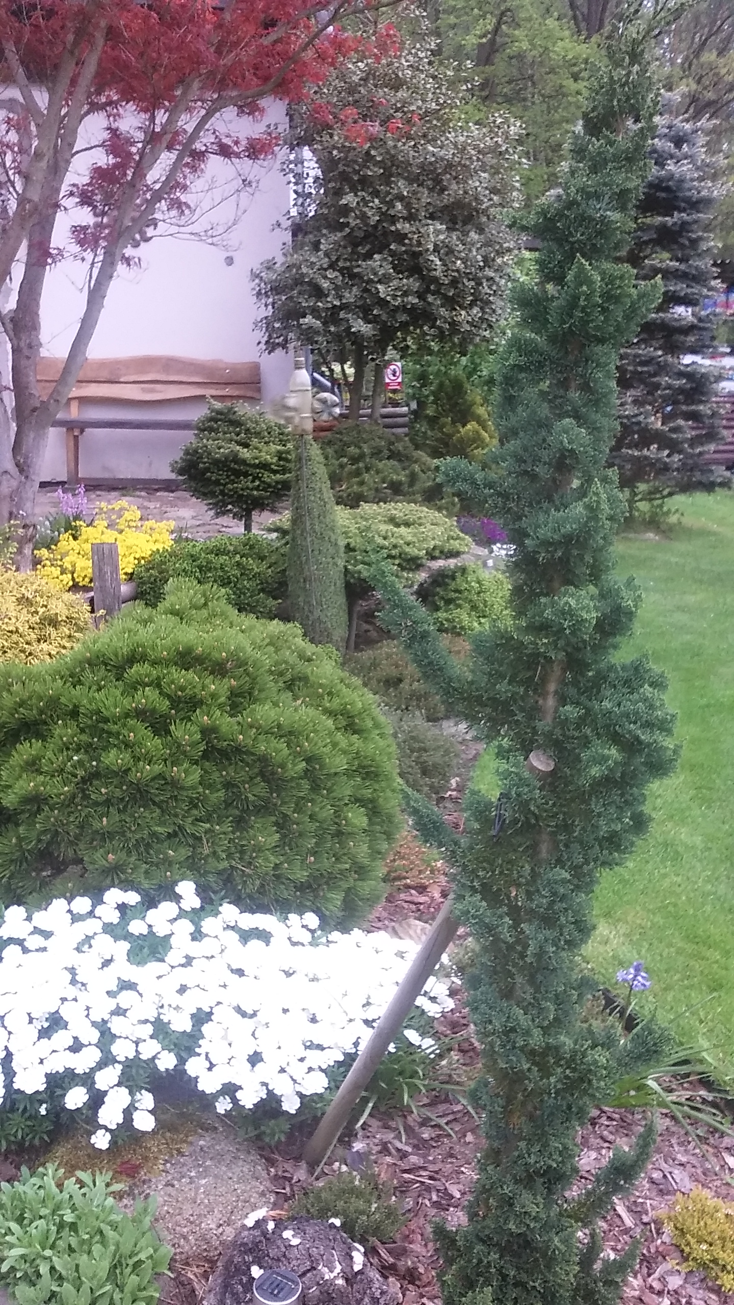 Okrasné zahradnictví Skořepová foto 3