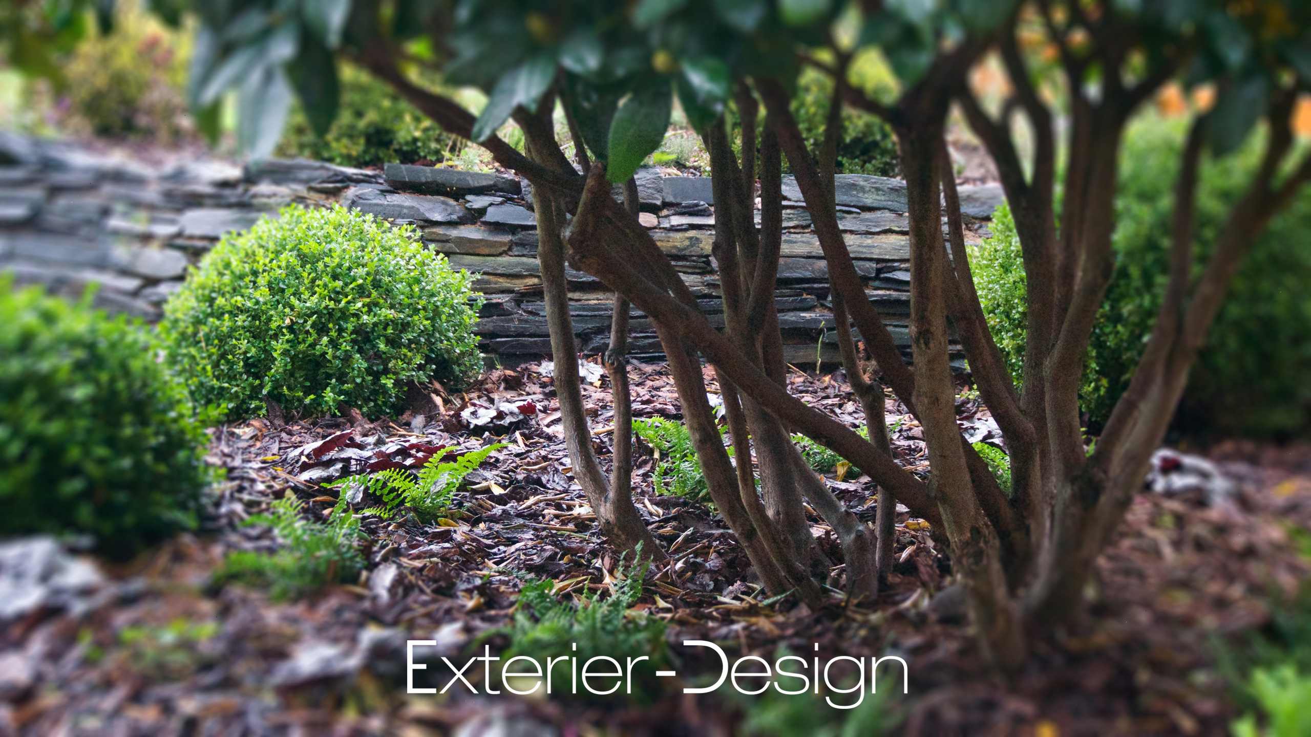 EXTERIER - DESIGN foto 4