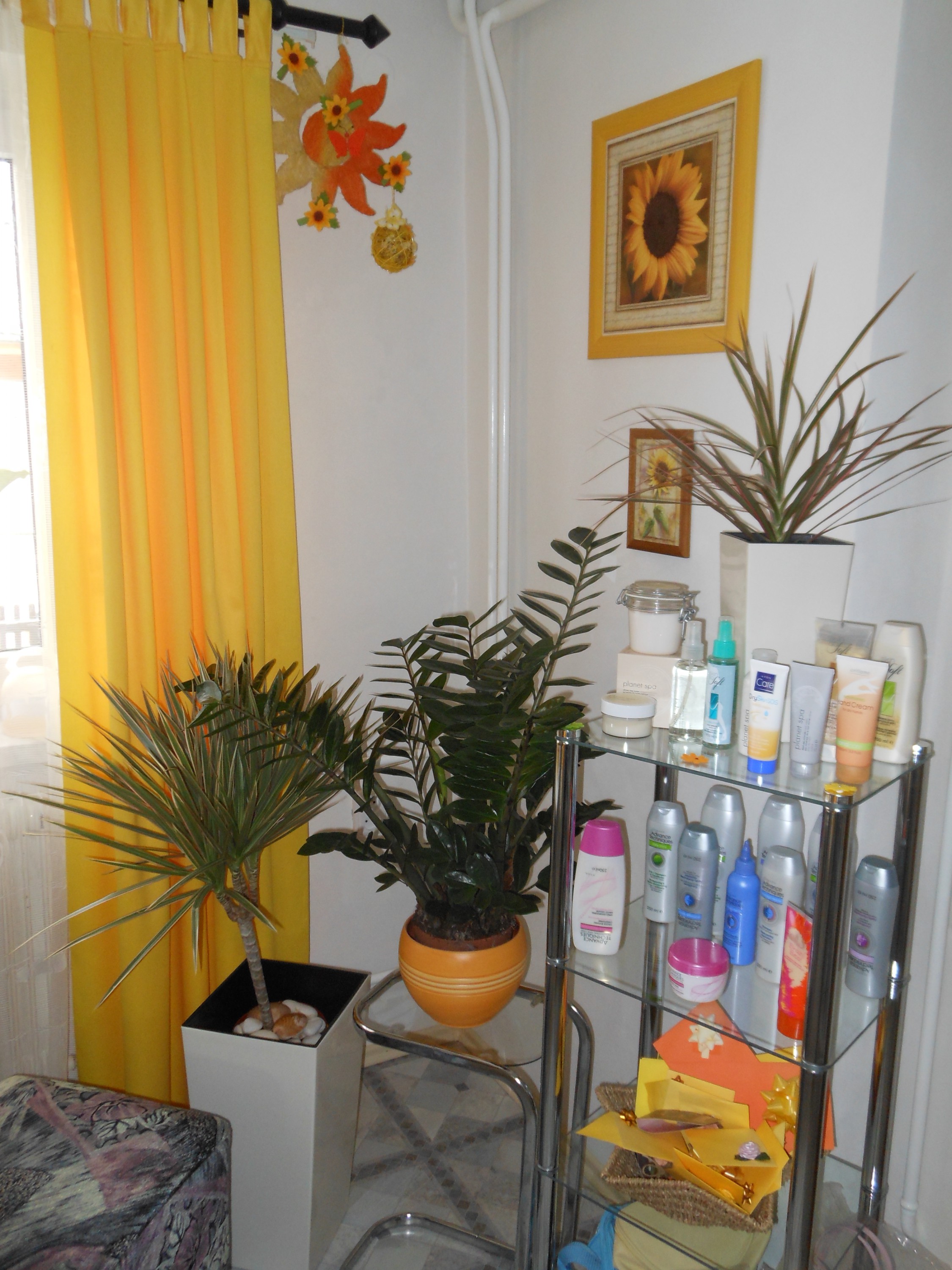 Kosmetický salón Nicoll - Lenka Hotařová foto 4