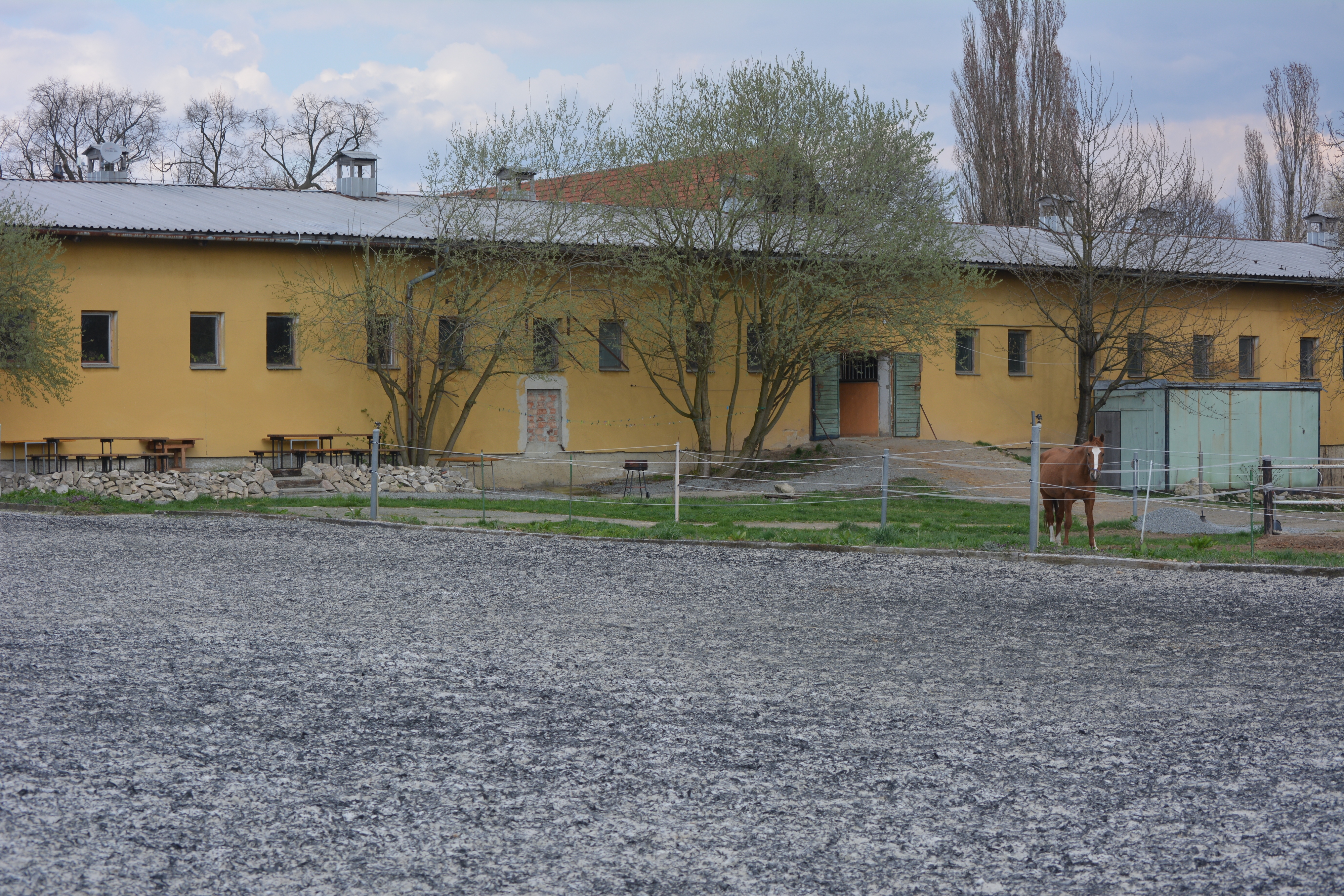 Radek Carva - Drezura