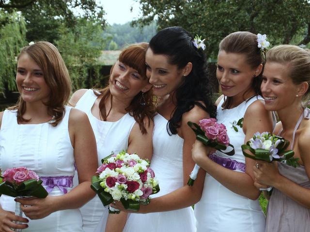Bellis - květiny foto 6