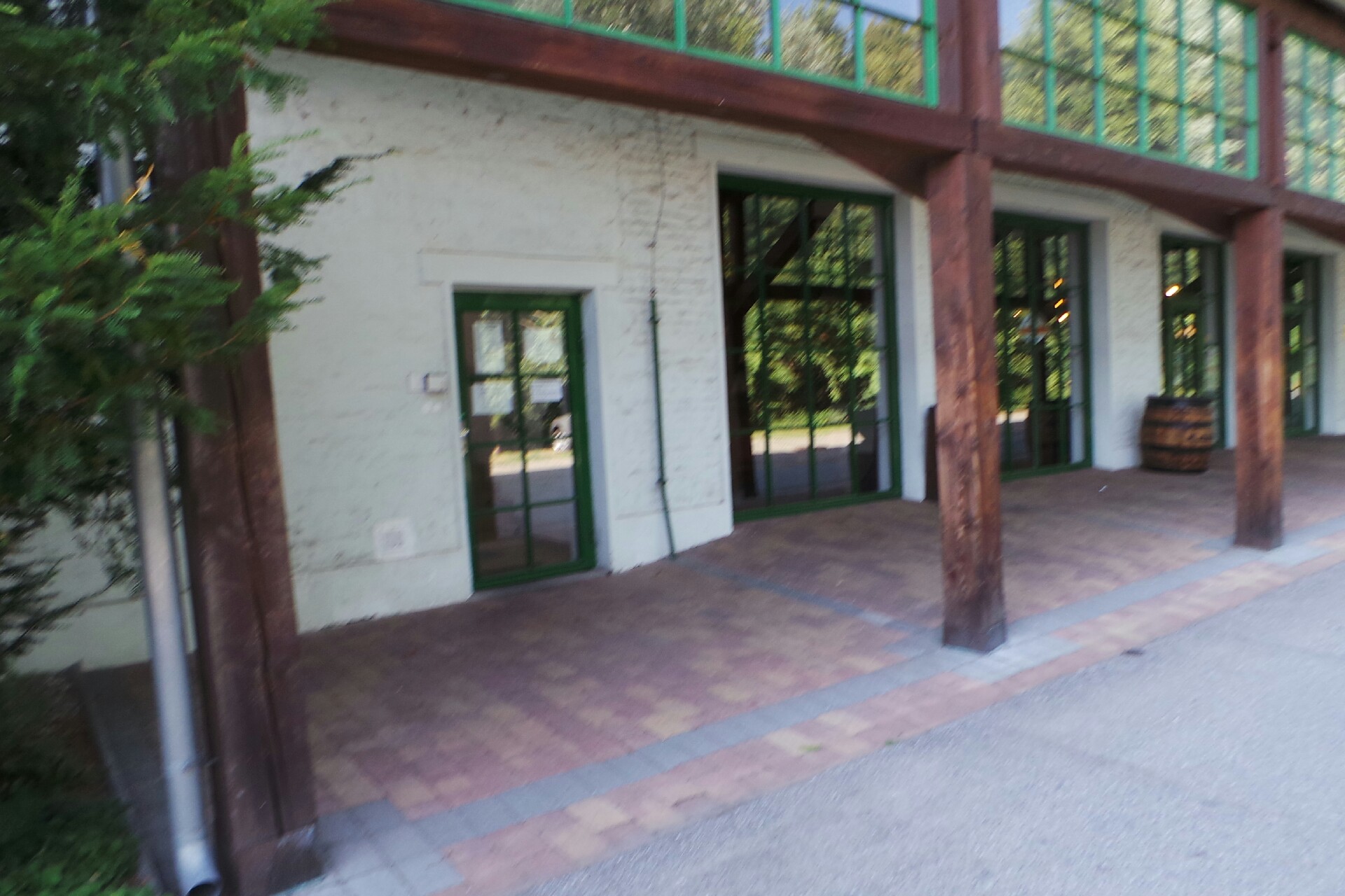 Ing. Alena Ševečková