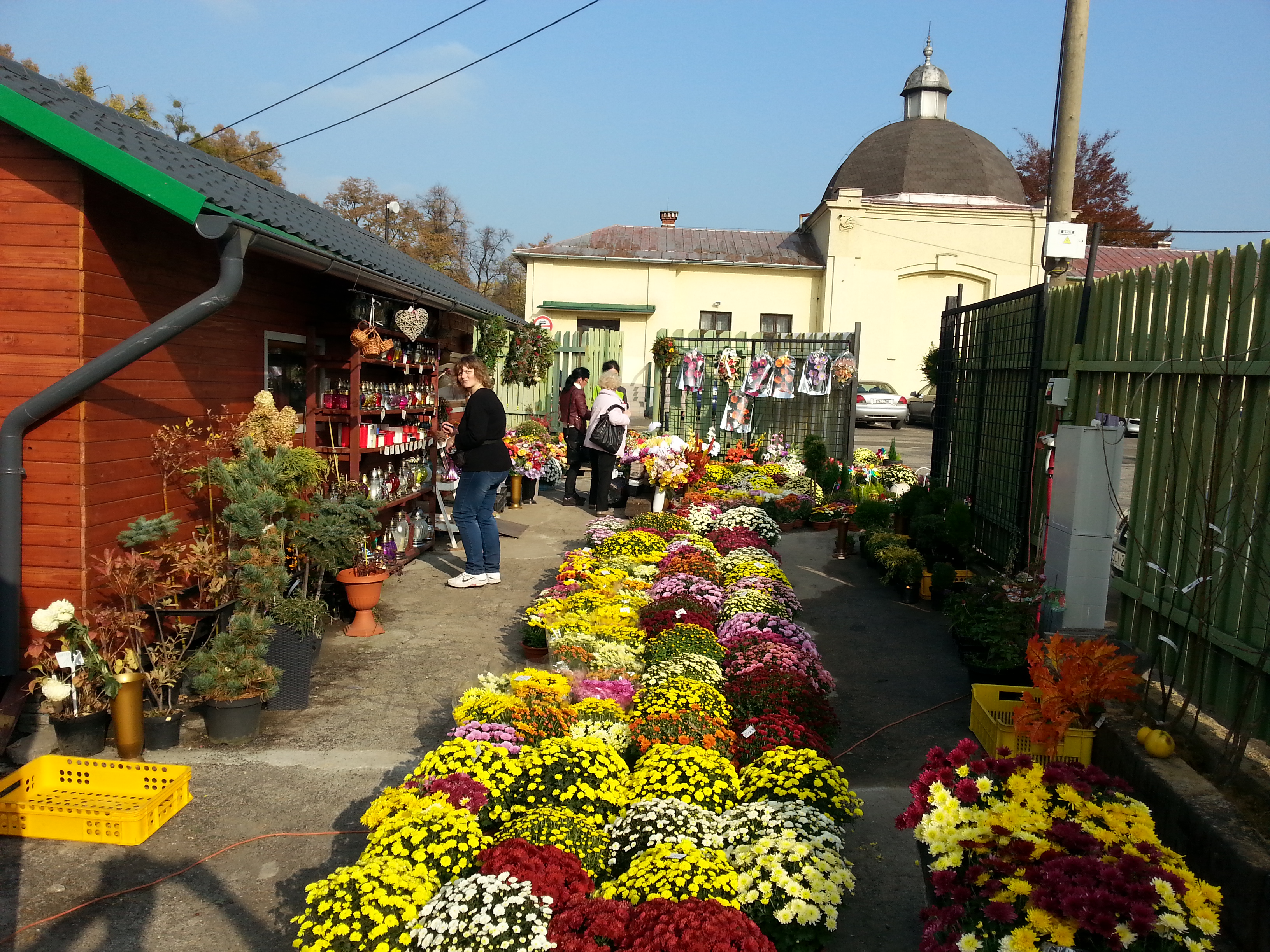 Zahradnictví Karviná - FRUTO.CZ foto 3