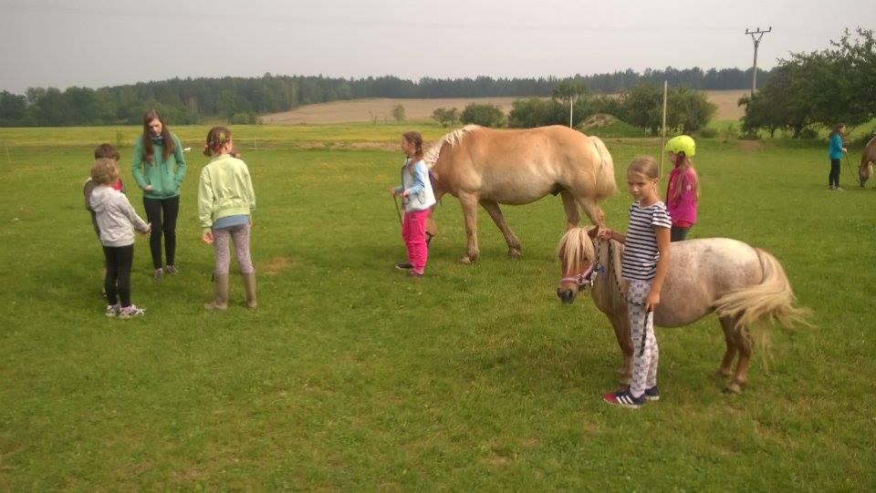 Stáje Štětice foto 2