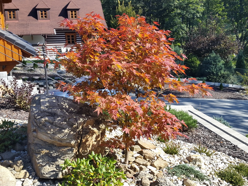 BeGARDEN zahrady - návrhy a realizace zahrad foto 6