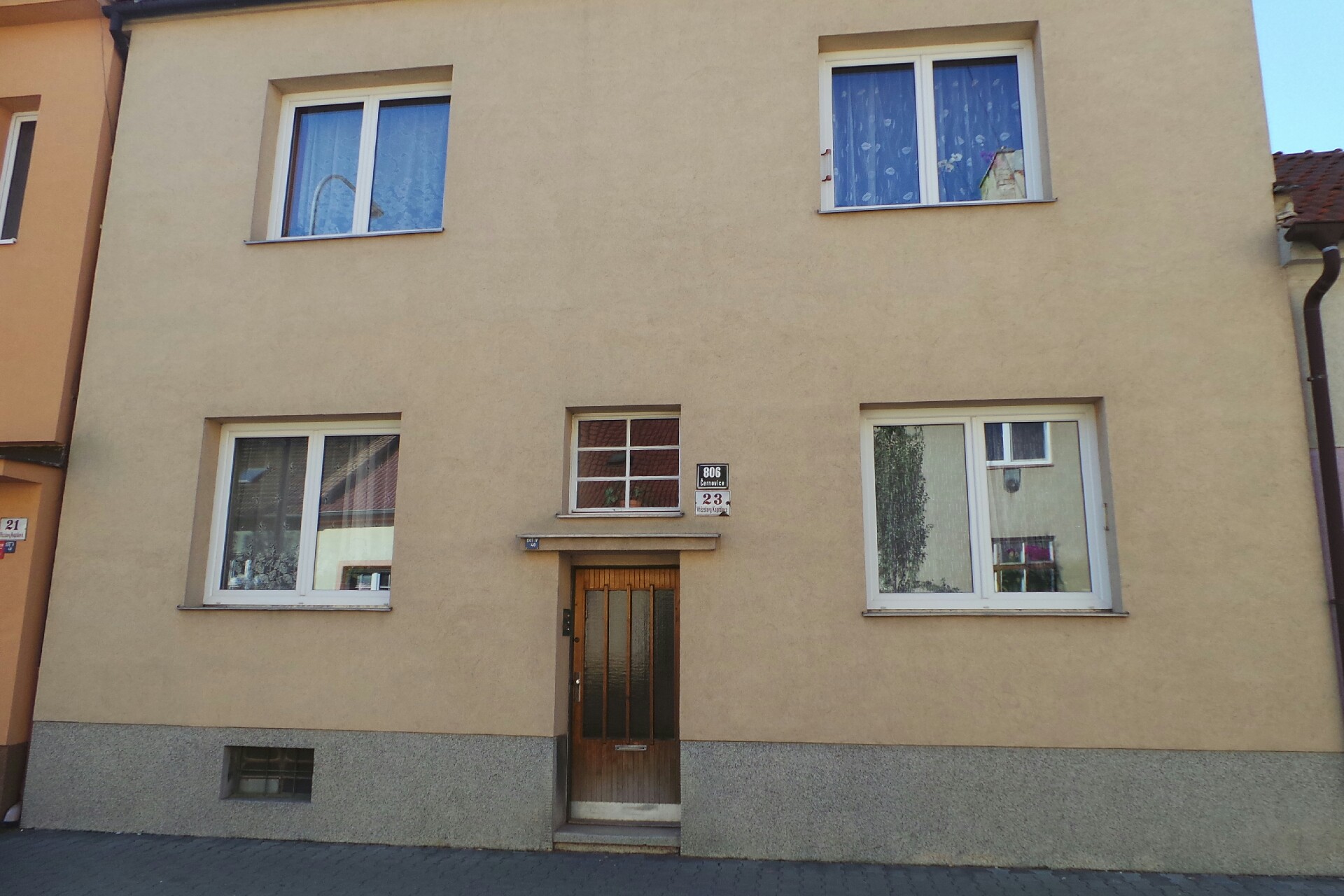 Základní článek hnutí Brontosaurus Orchis