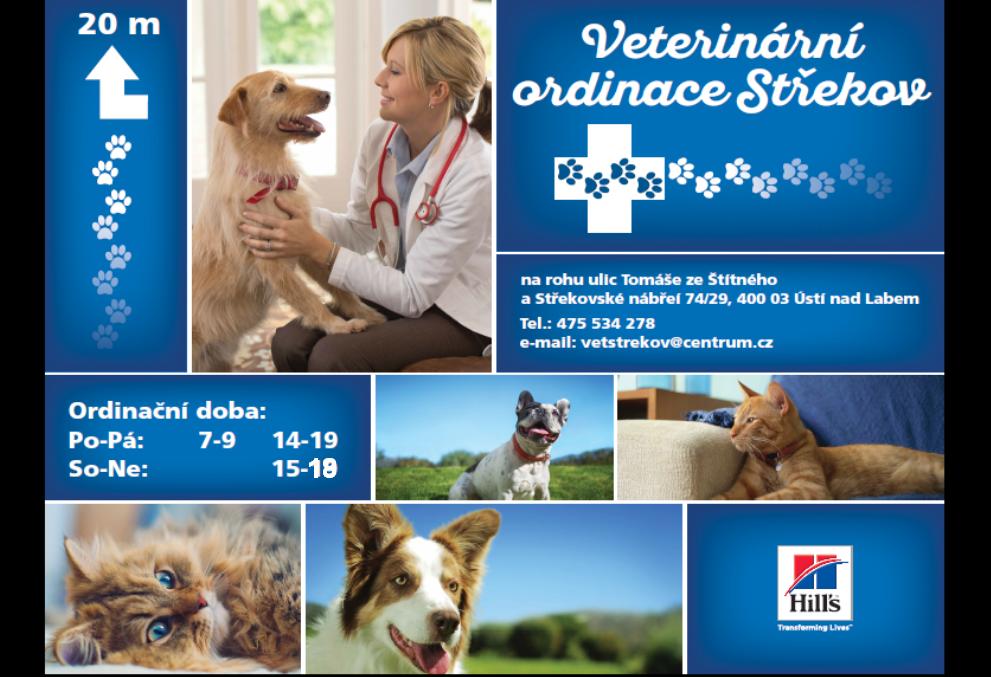 MVDr. Renata Poživilová foto 2