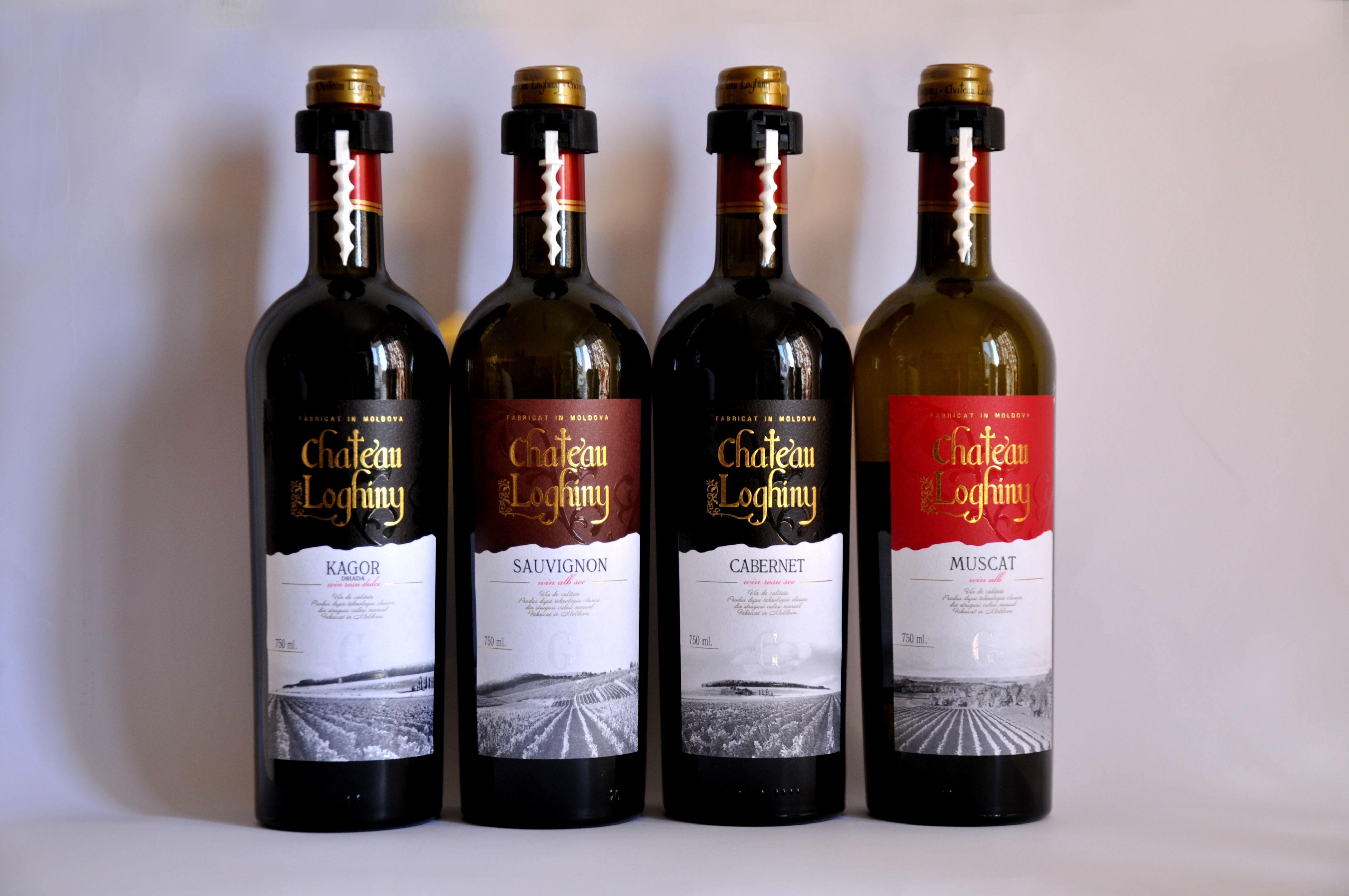 CHATEAU LOGHINY, s.r.o. foto 2