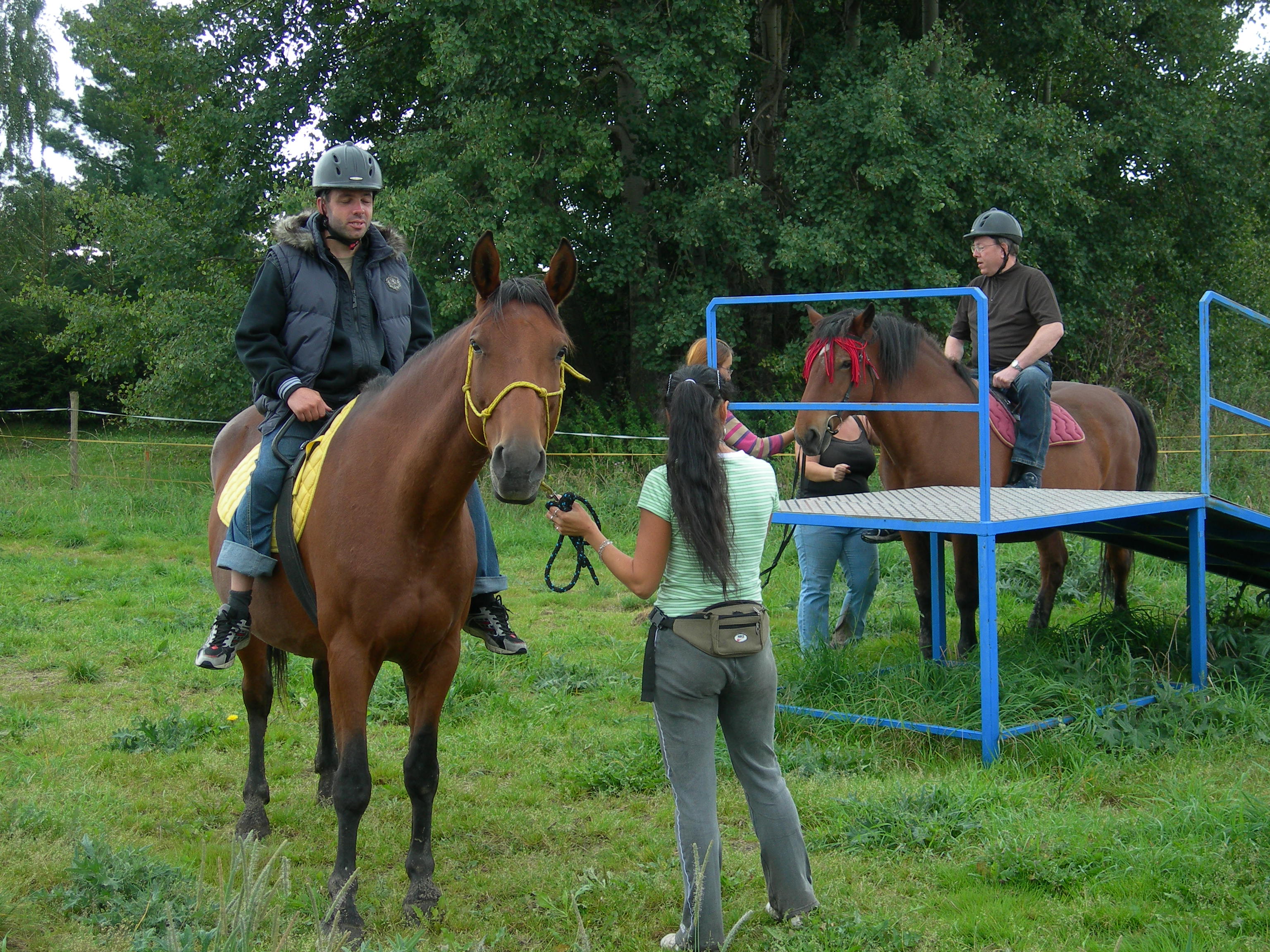 Sociální farma HORSE foto 6