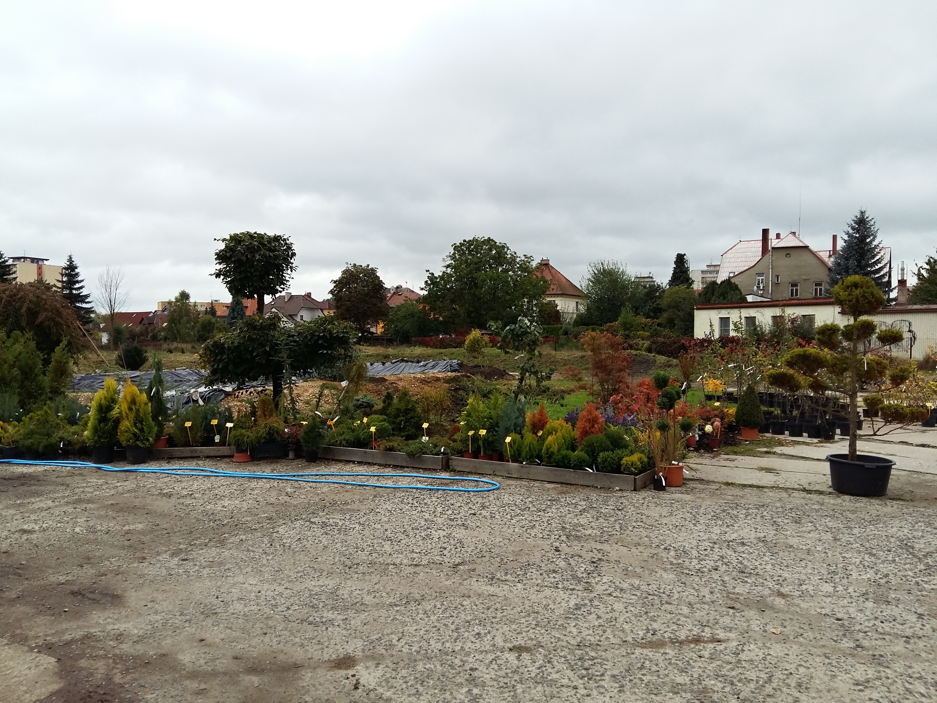 Zahradnictví U soudu - zahradní práce foto 3