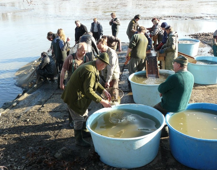 Lesy města Dvůr Králové nad Labem, s.r.o. foto 4