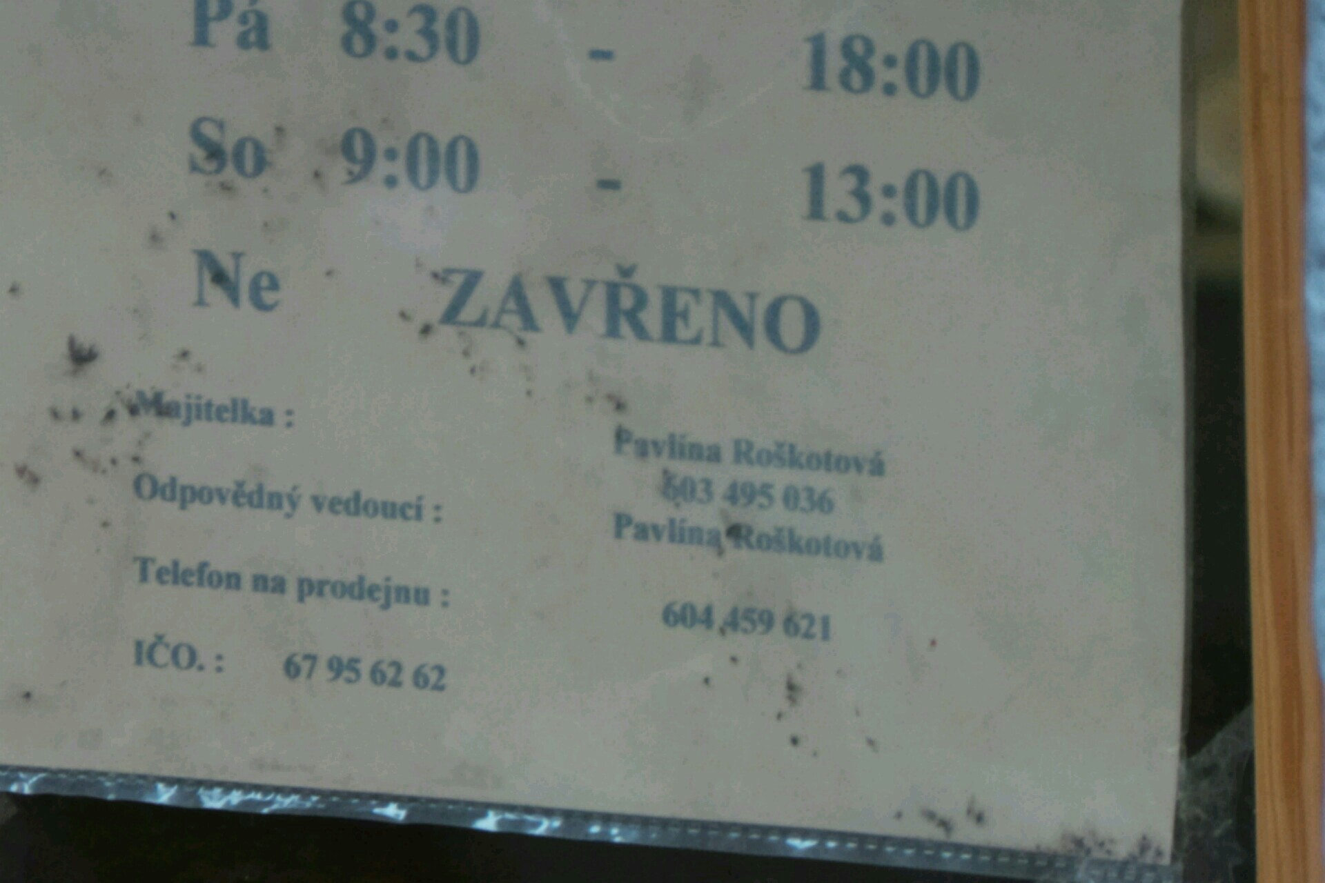 Pavlína Roškotová - Květiny Viki foto 2