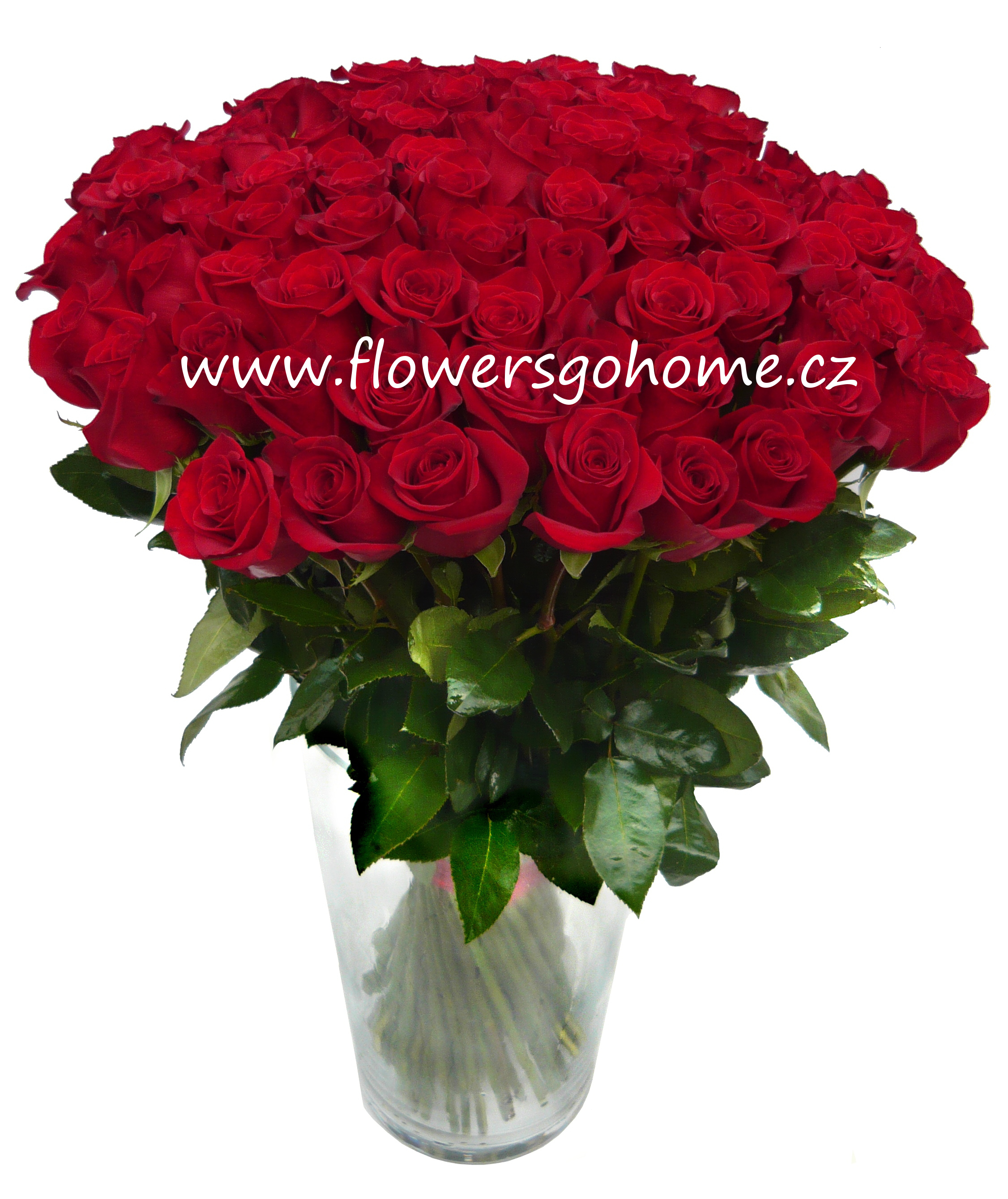 Kvetinyrozvoz.cz foto 2